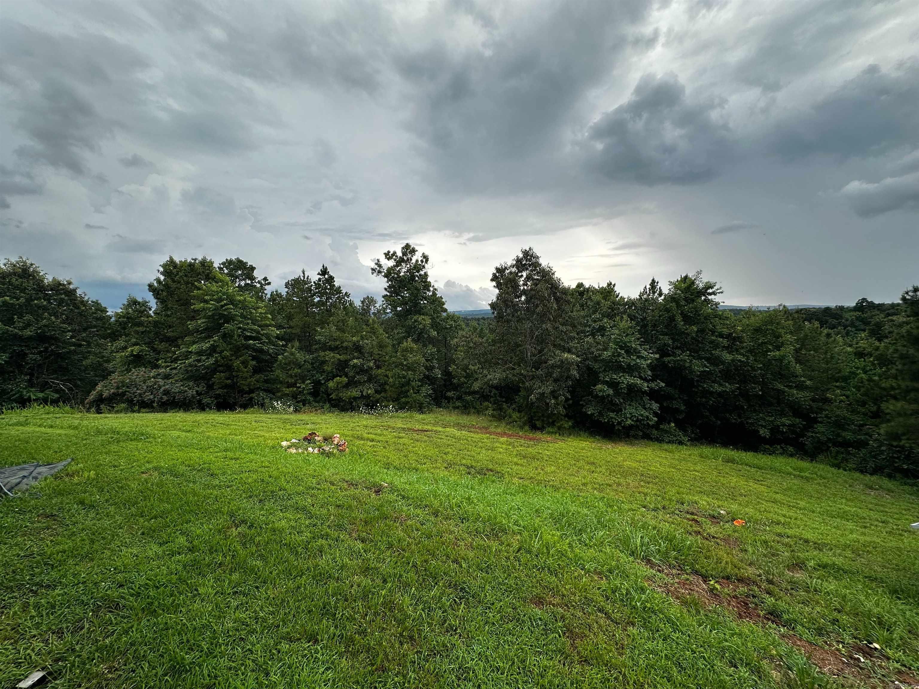 119 Tollie Kay Lane Mountain View, AR 72560