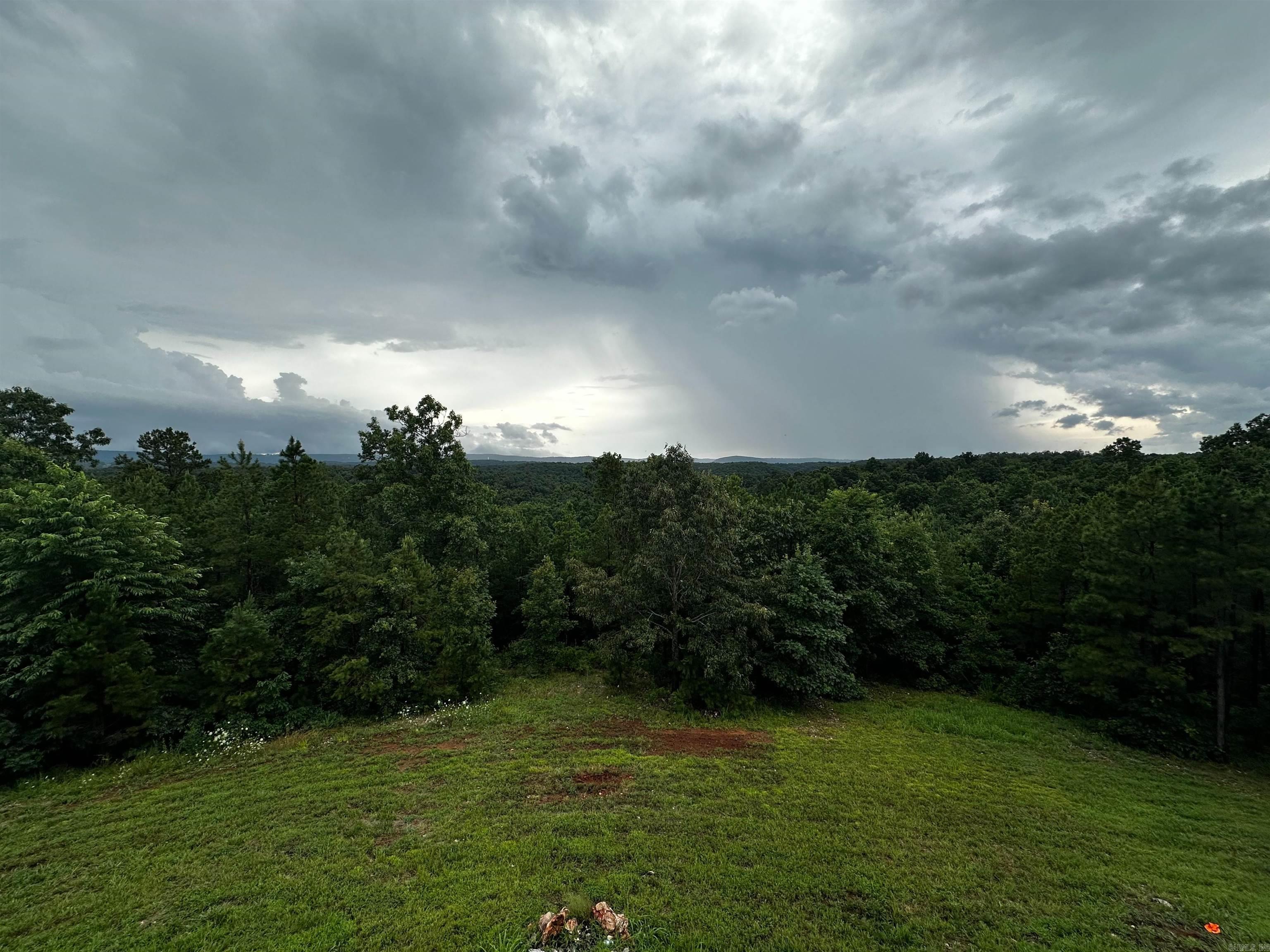 119 Tollie Kay Lane Mountain View, AR 72560