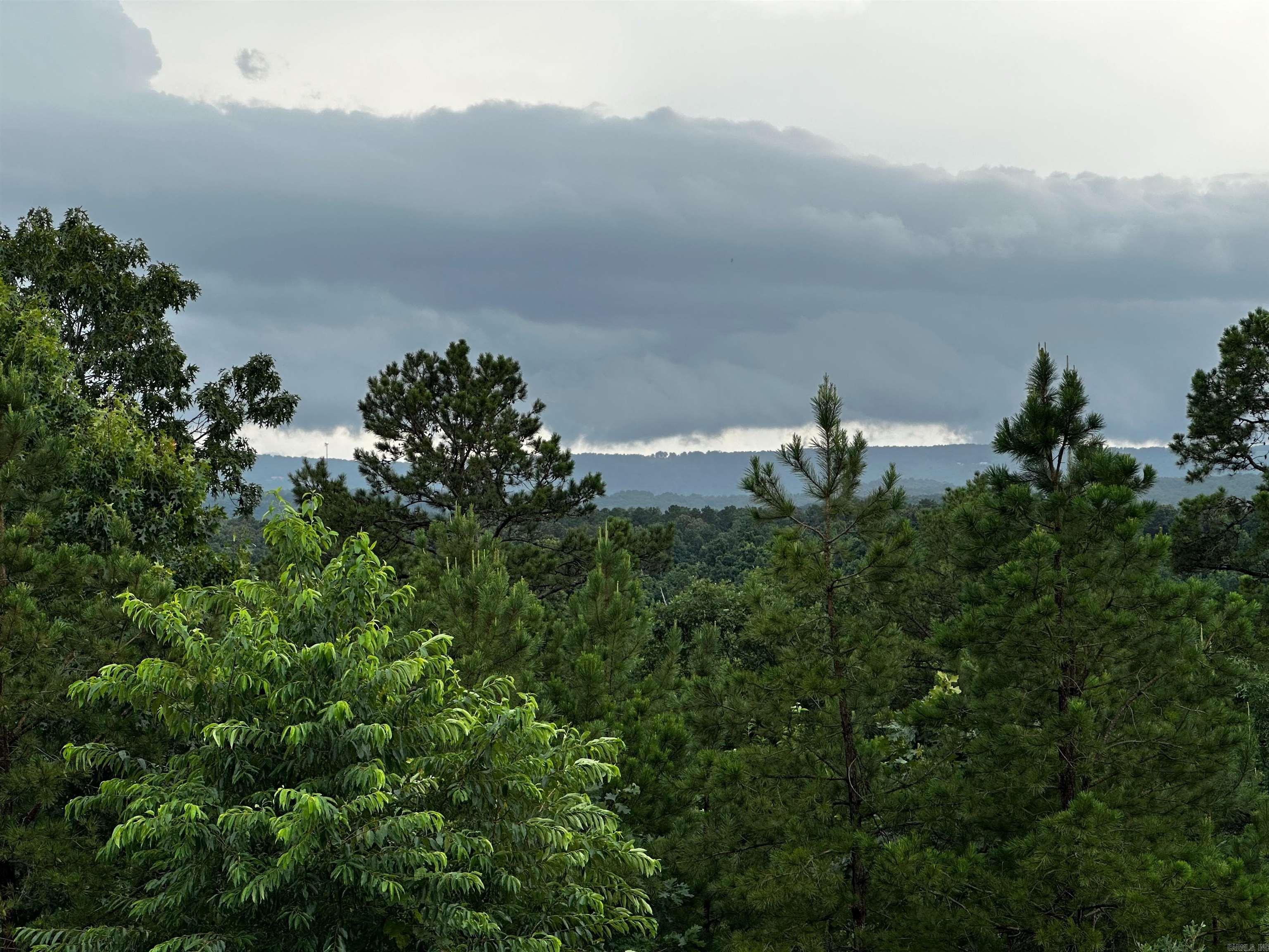 119 Tollie Kay Lane Mountain View, AR 72560