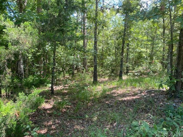 787 Polk Road 67 Mena, AR 71953