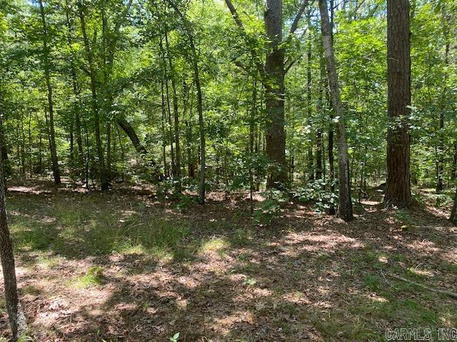 787 Polk Road 67 Mena, AR 71953