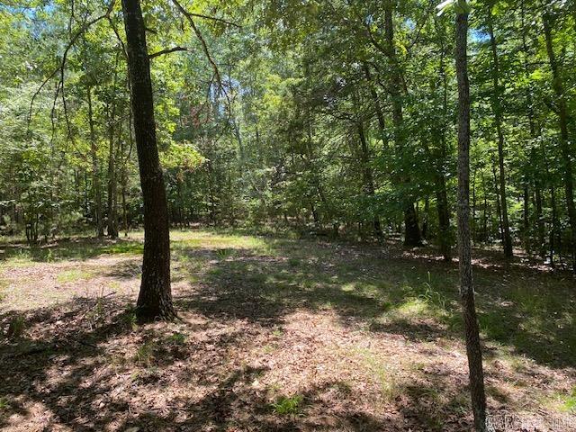 787 Polk Road 67 Mena, AR 71953