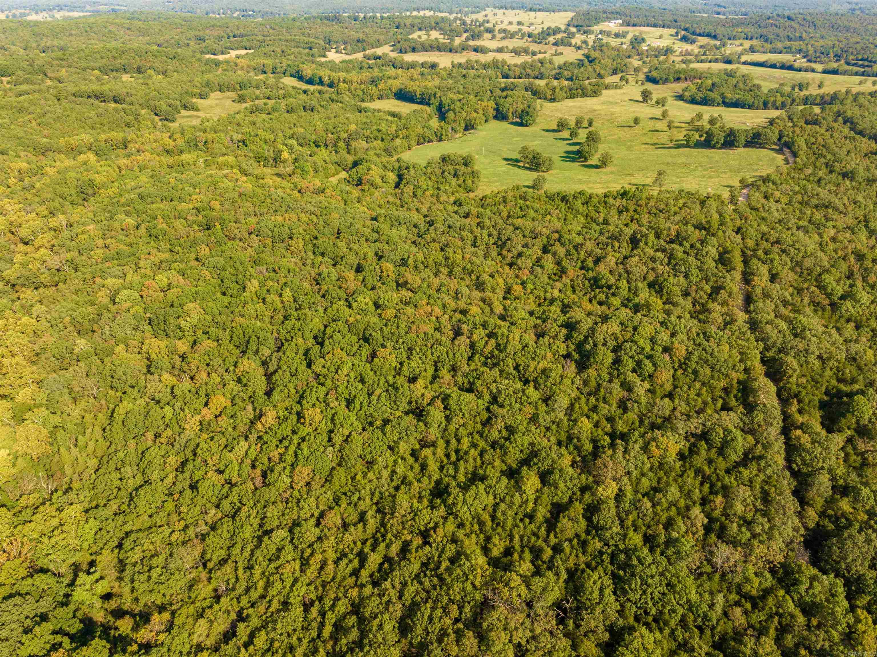 0 SILVER SPRINGS  Evening Shade, AR