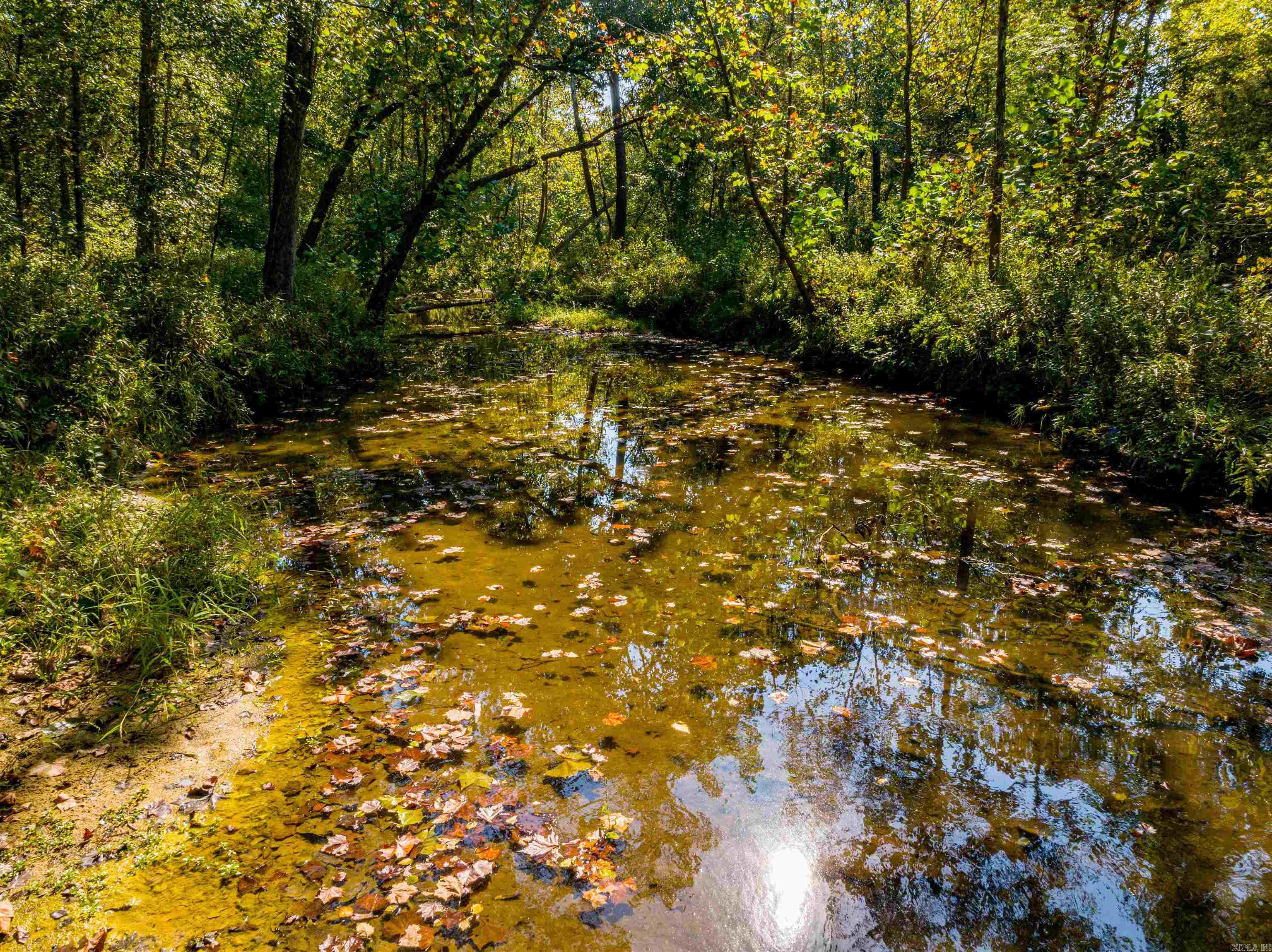 0 SILVER SPRINGS  Evening Shade, AR