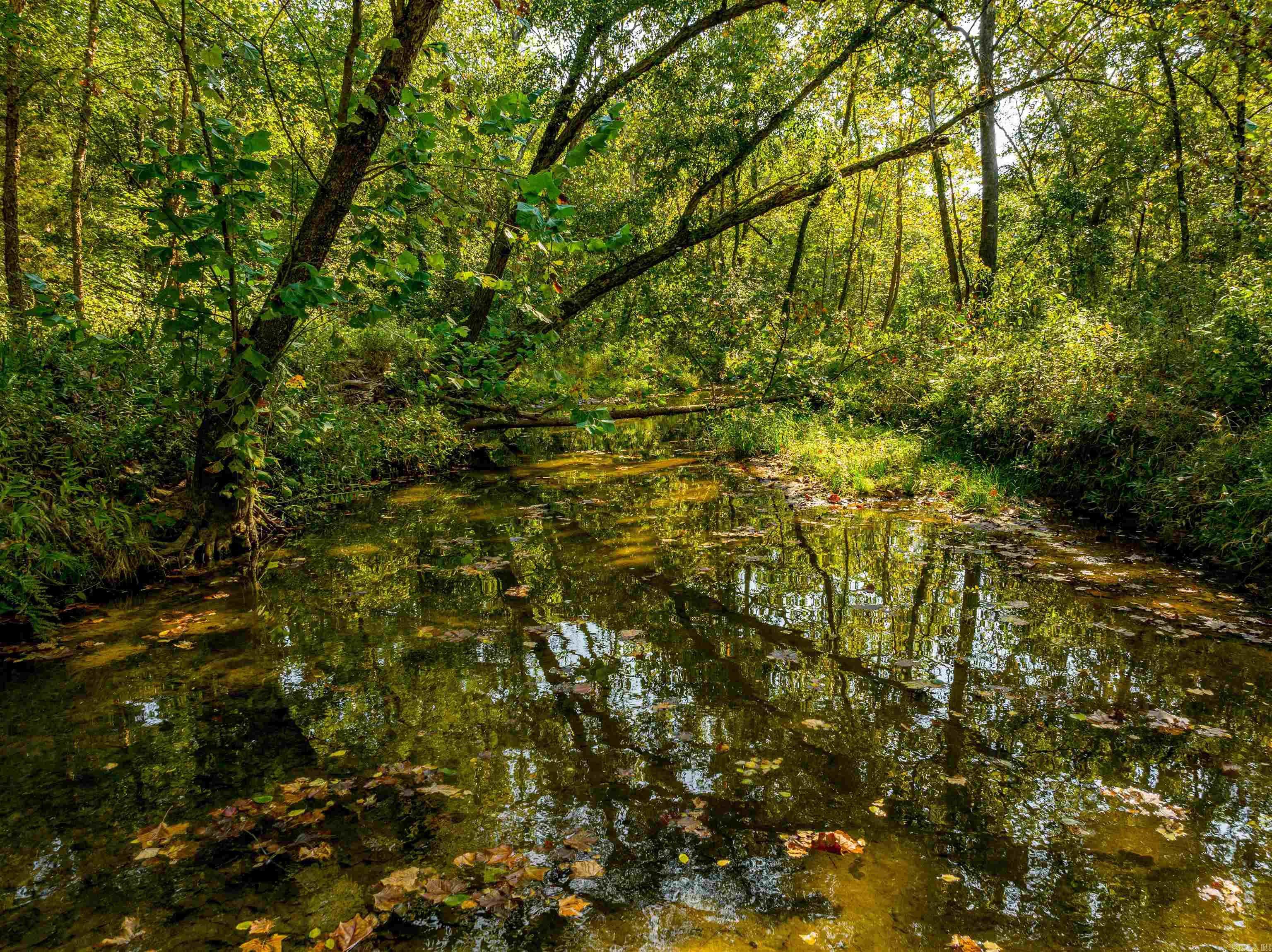 0 SILVER SPRINGS  Evening Shade, AR