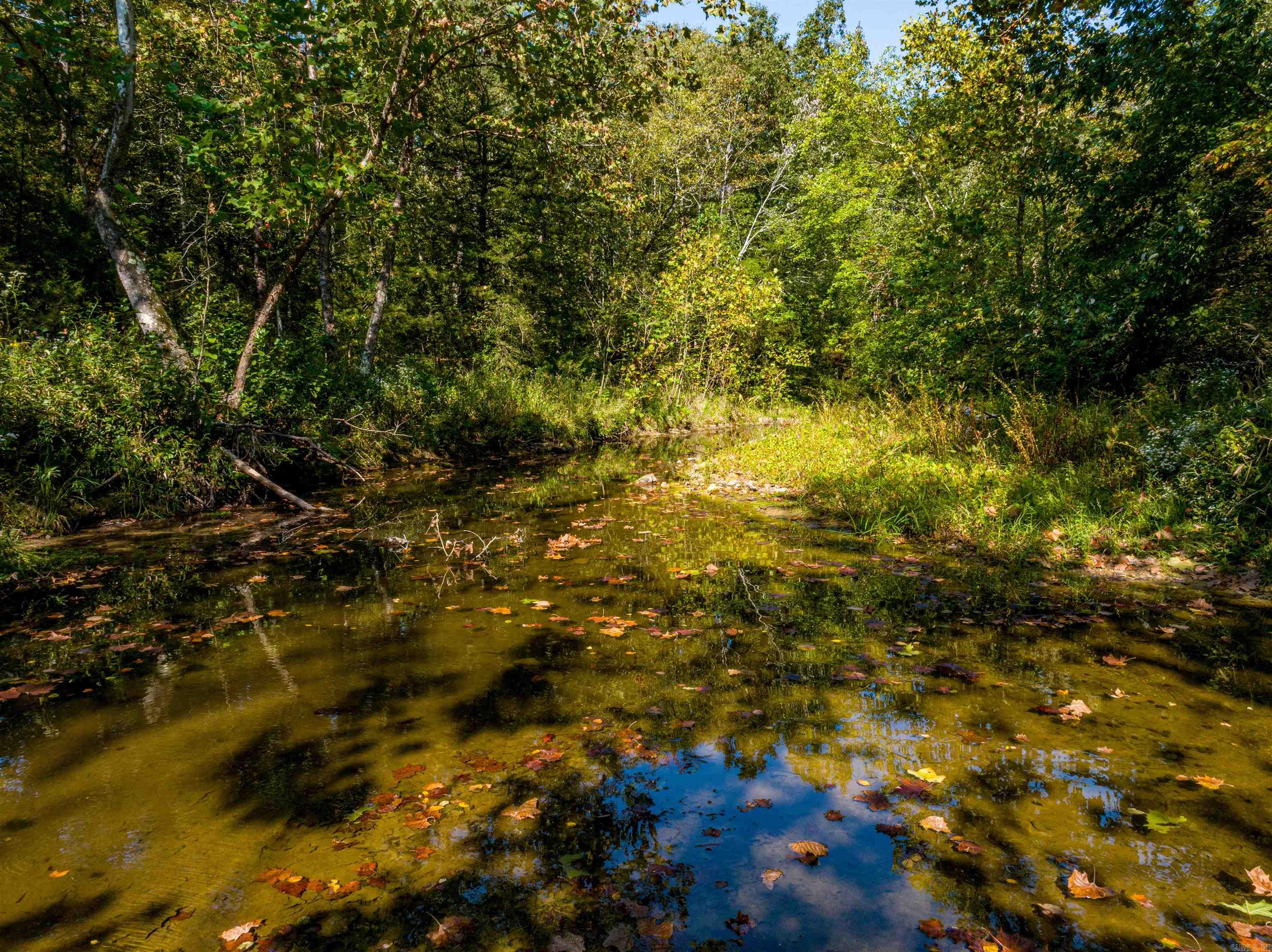 0 SILVER SPRINGS  Evening Shade, AR