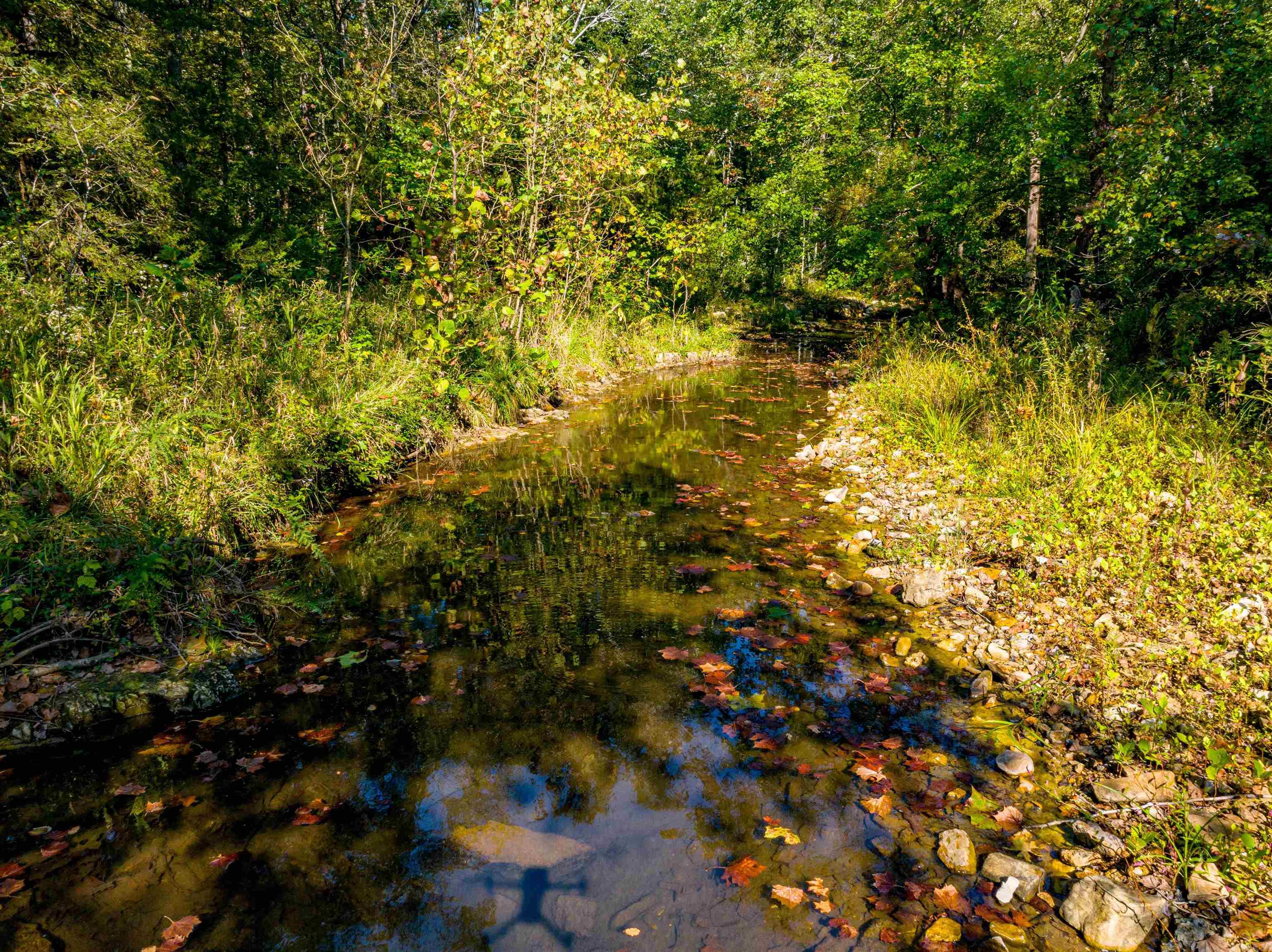 0 SILVER SPRINGS  Evening Shade, AR