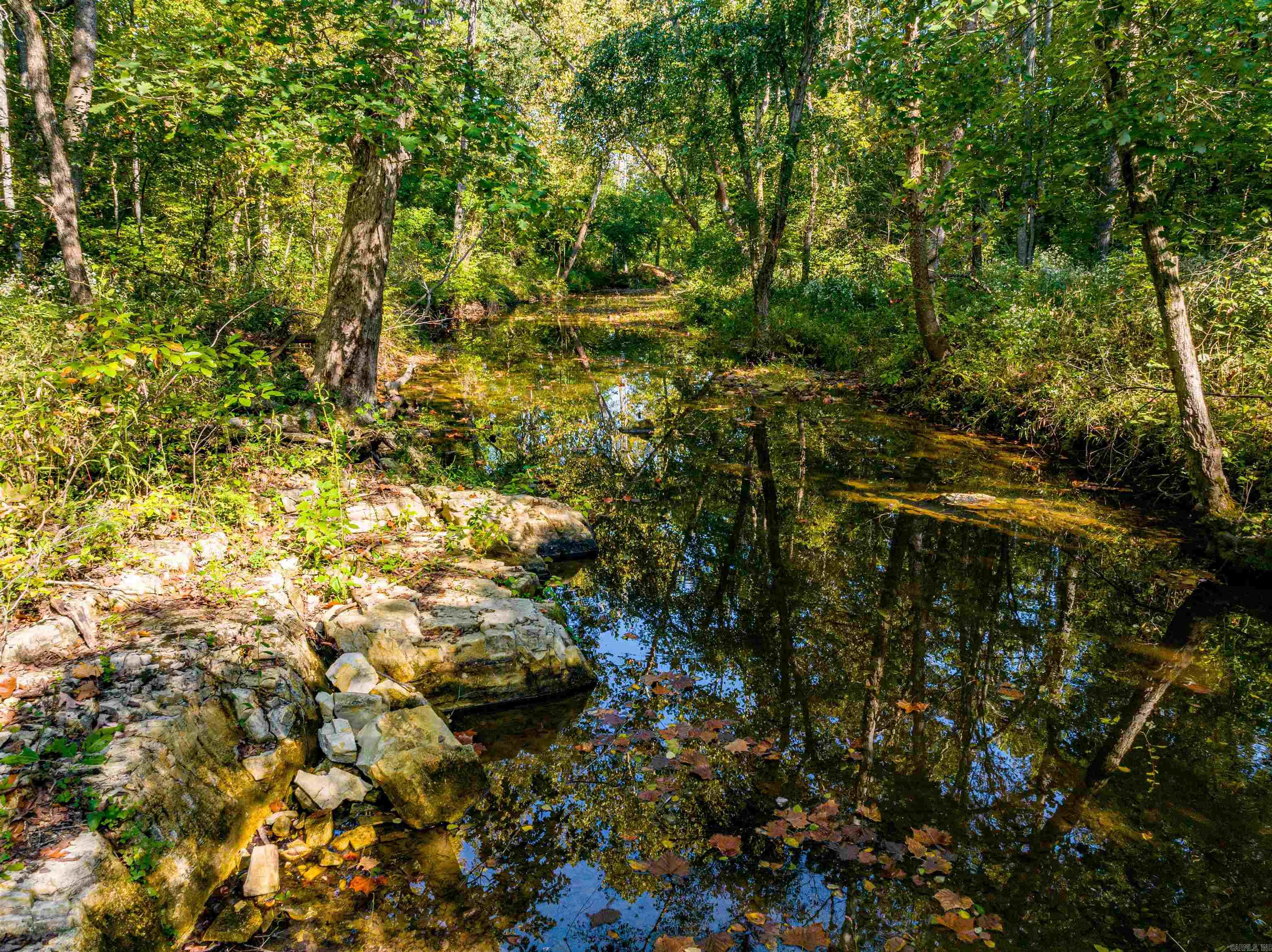 0 SILVER SPRINGS  Evening Shade, AR