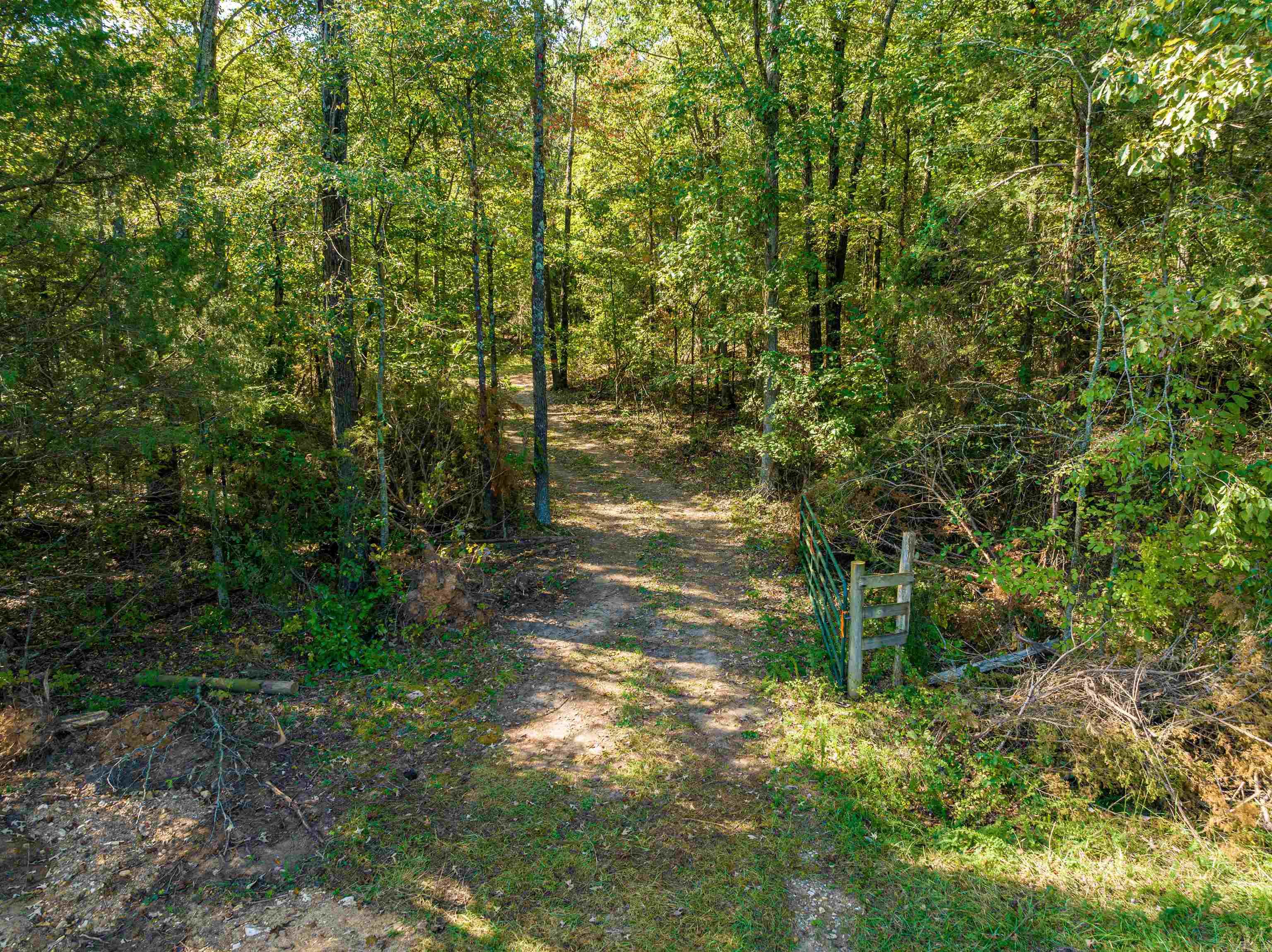 0 SILVER SPRINGS  Evening Shade, AR