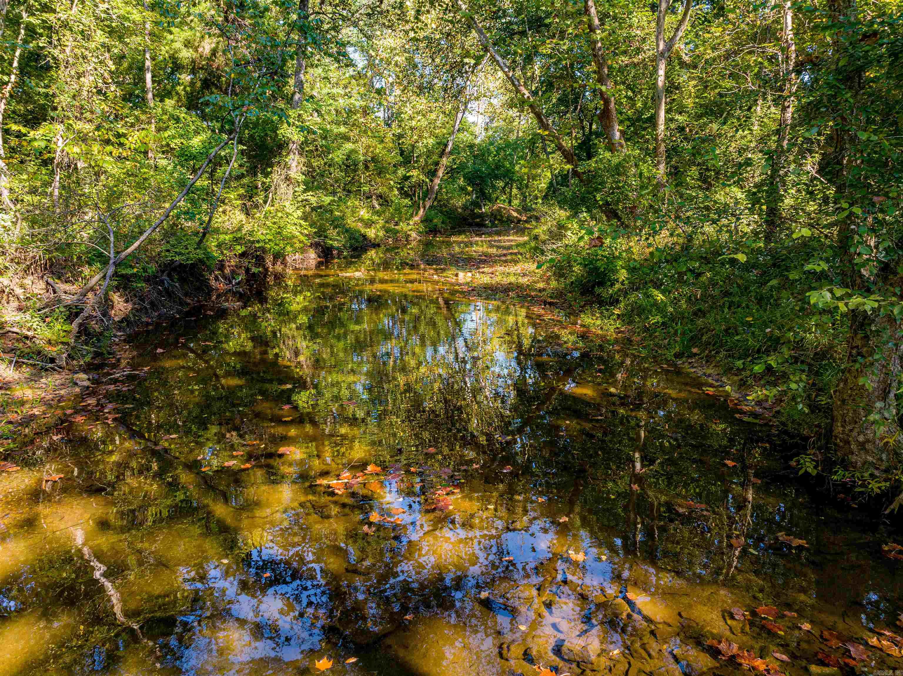 0 SILVER SPRINGS  Evening Shade, AR