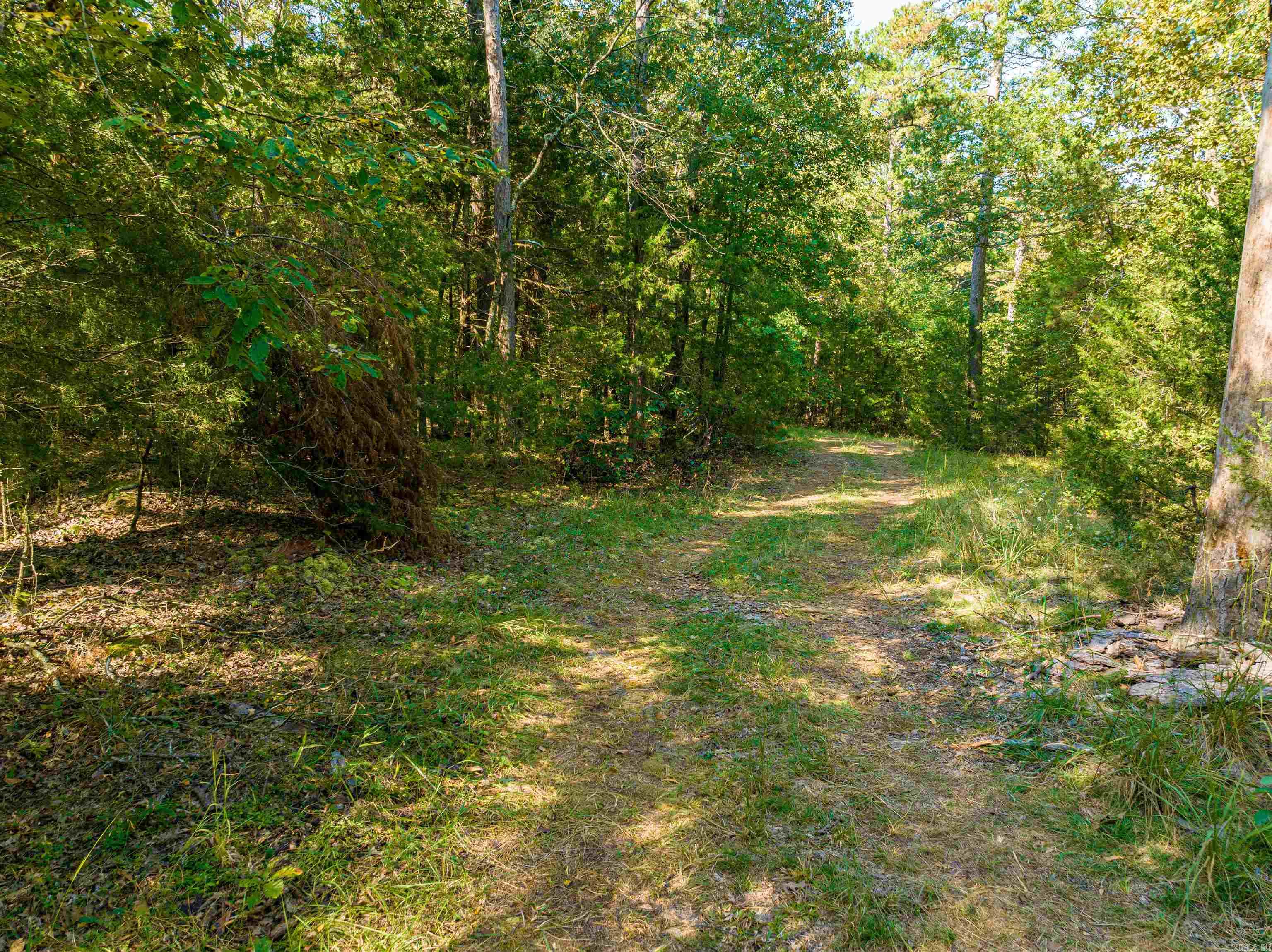 0 SILVER SPRINGS  Evening Shade, AR
