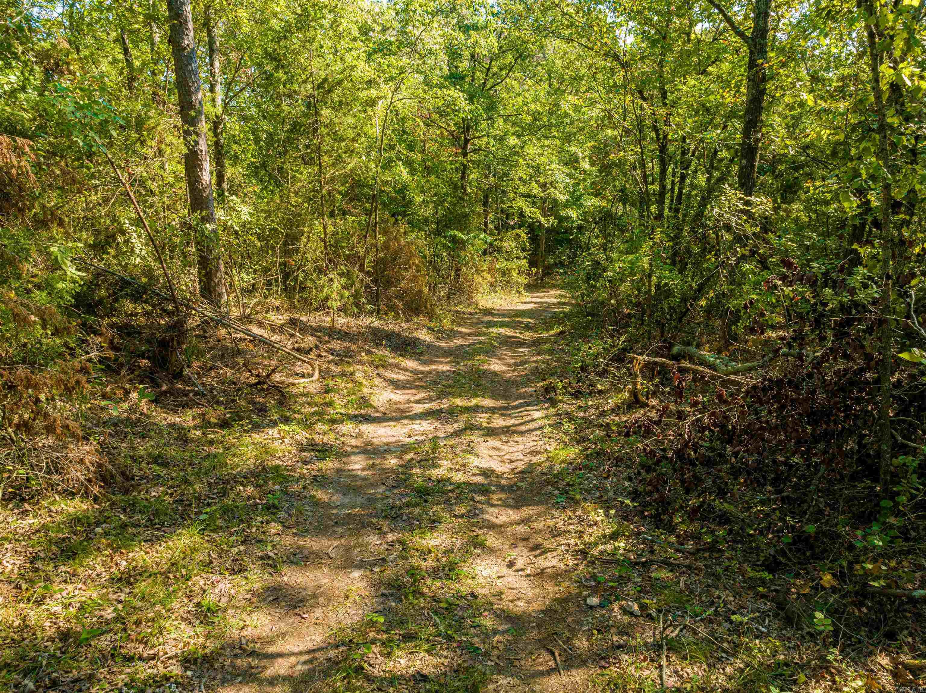 0 SILVER SPRINGS  Evening Shade, AR