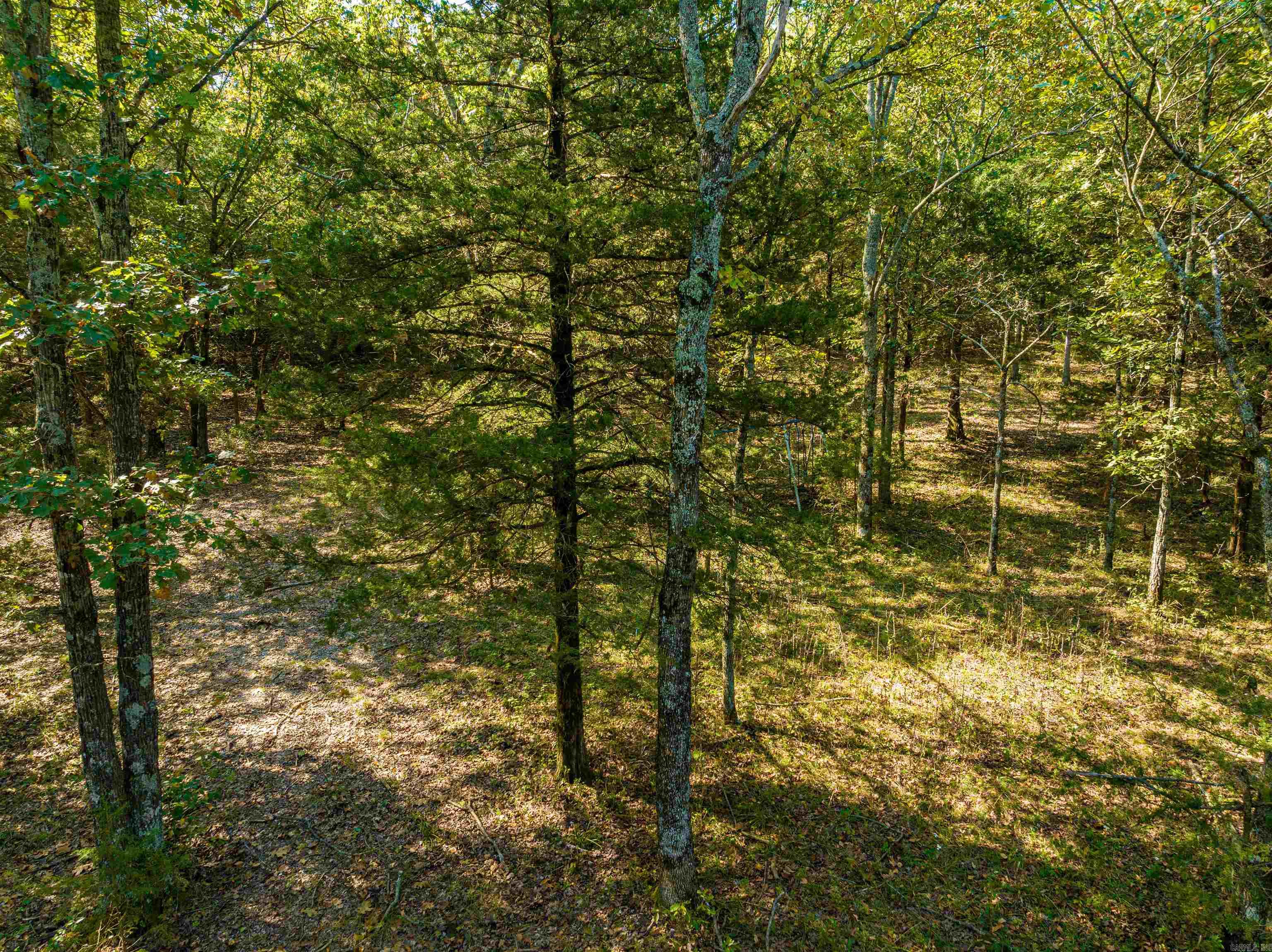 0 SILVER SPRINGS  Evening Shade, AR