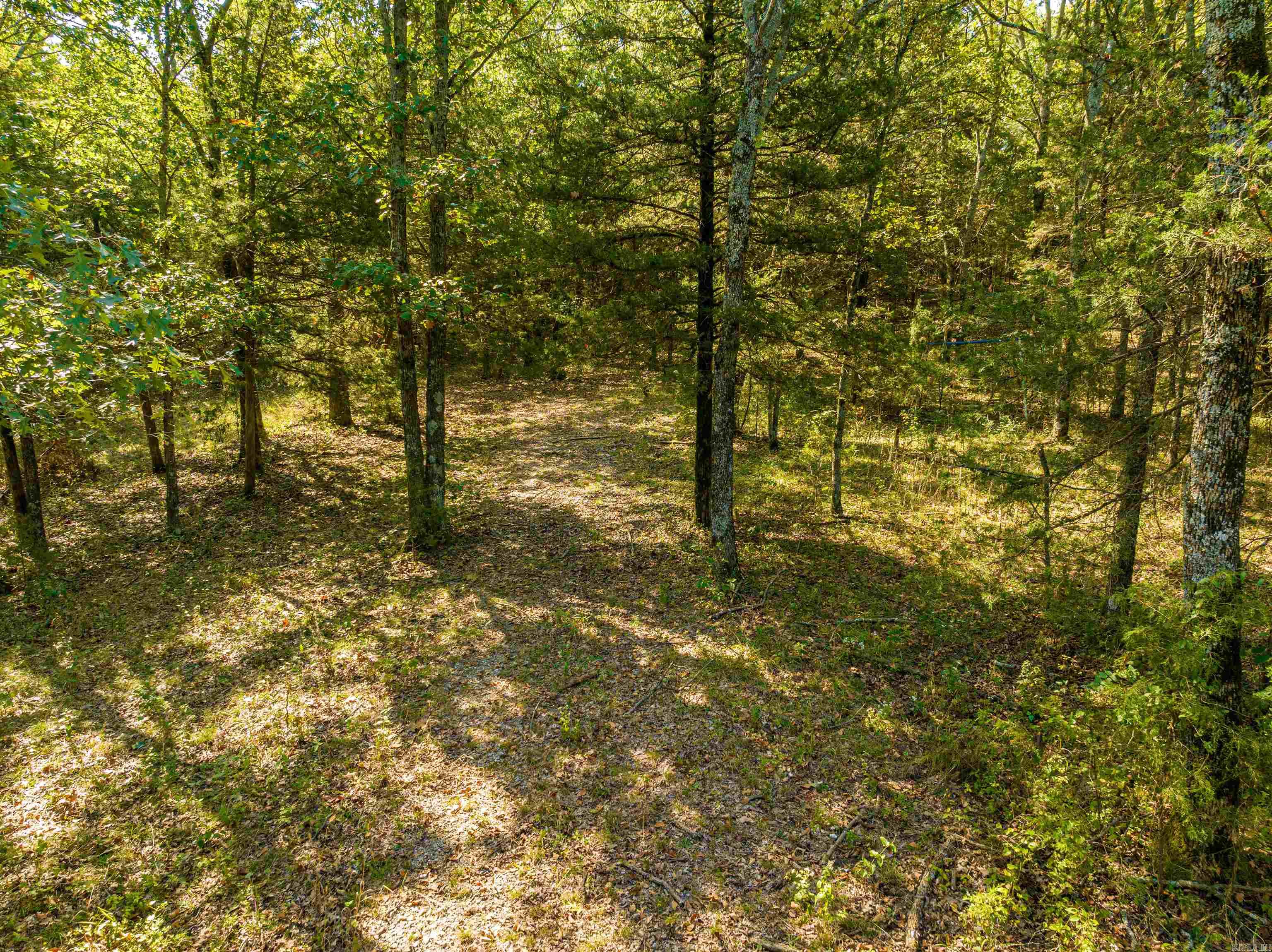 0 SILVER SPRINGS  Evening Shade, AR