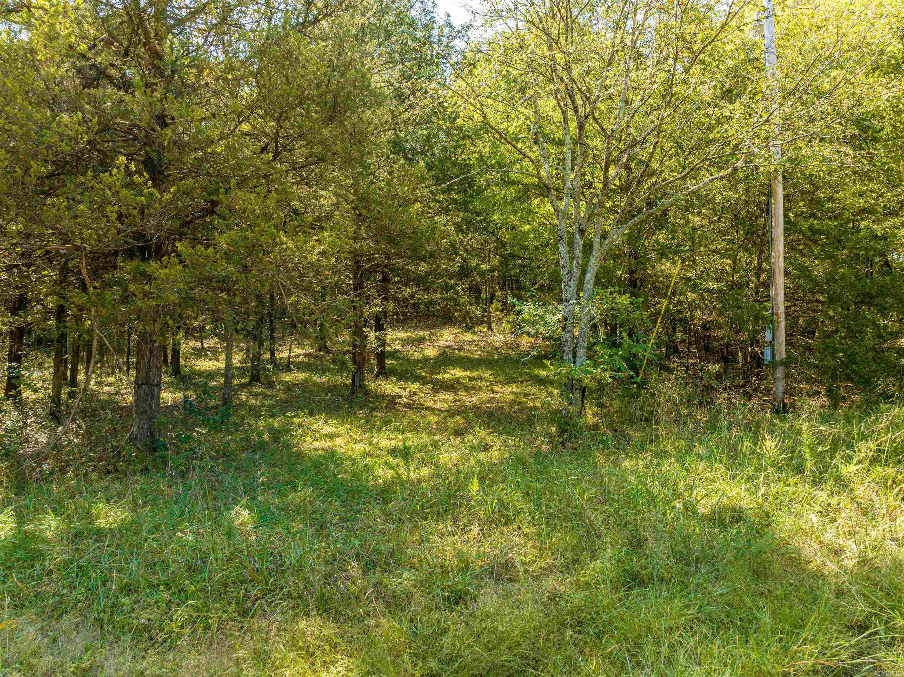 0 SILVER SPRINGS  Evening Shade, AR