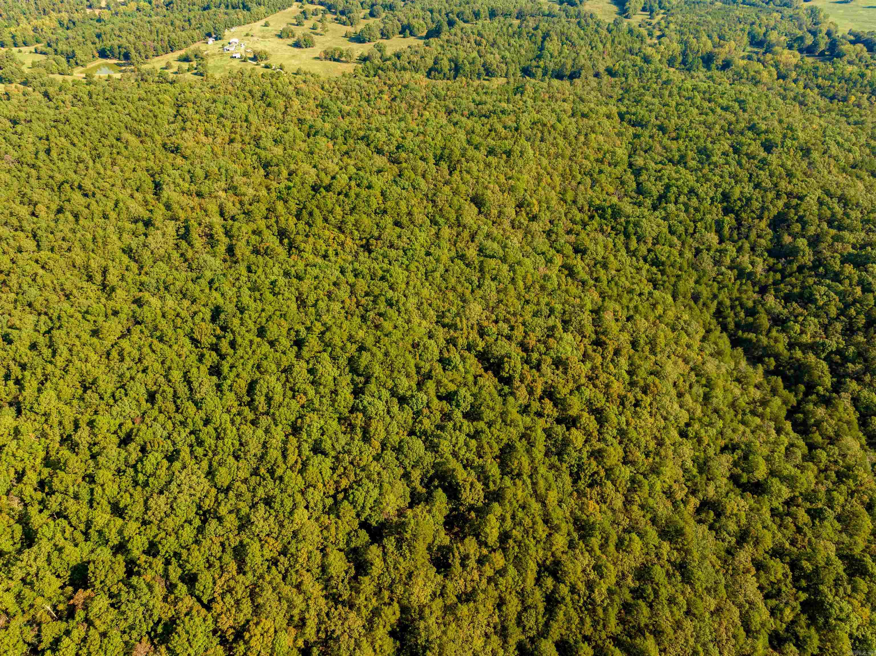 0 SILVER SPRINGS  Evening Shade, AR