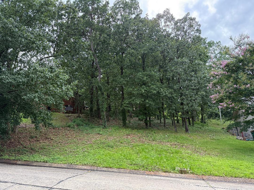 13800 Longtree Dr  Little Rock, AR
