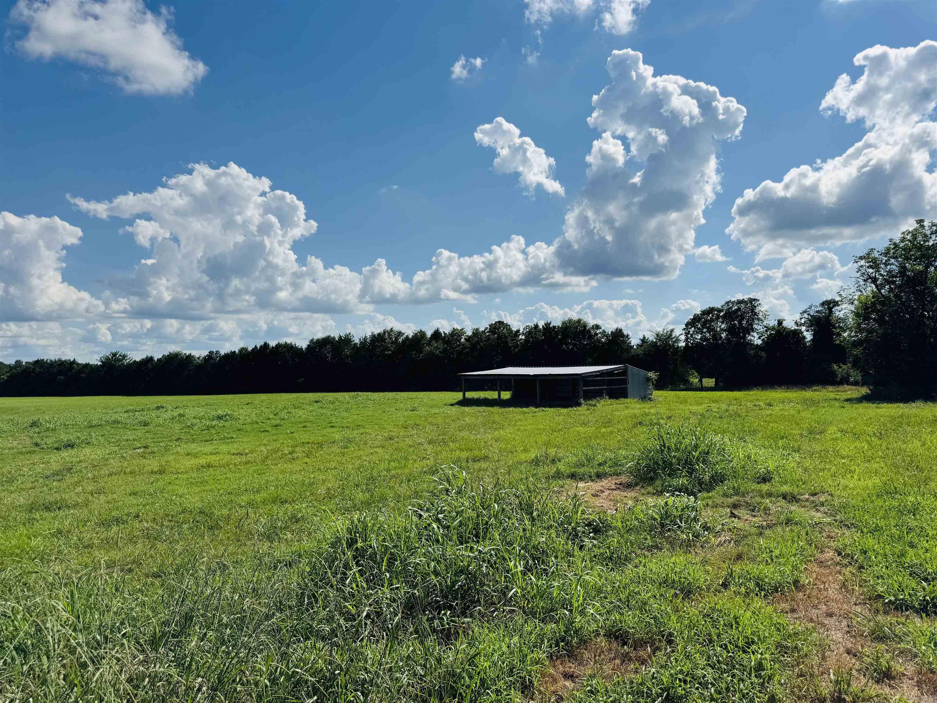116 Wadley Road Romance, AR 72136