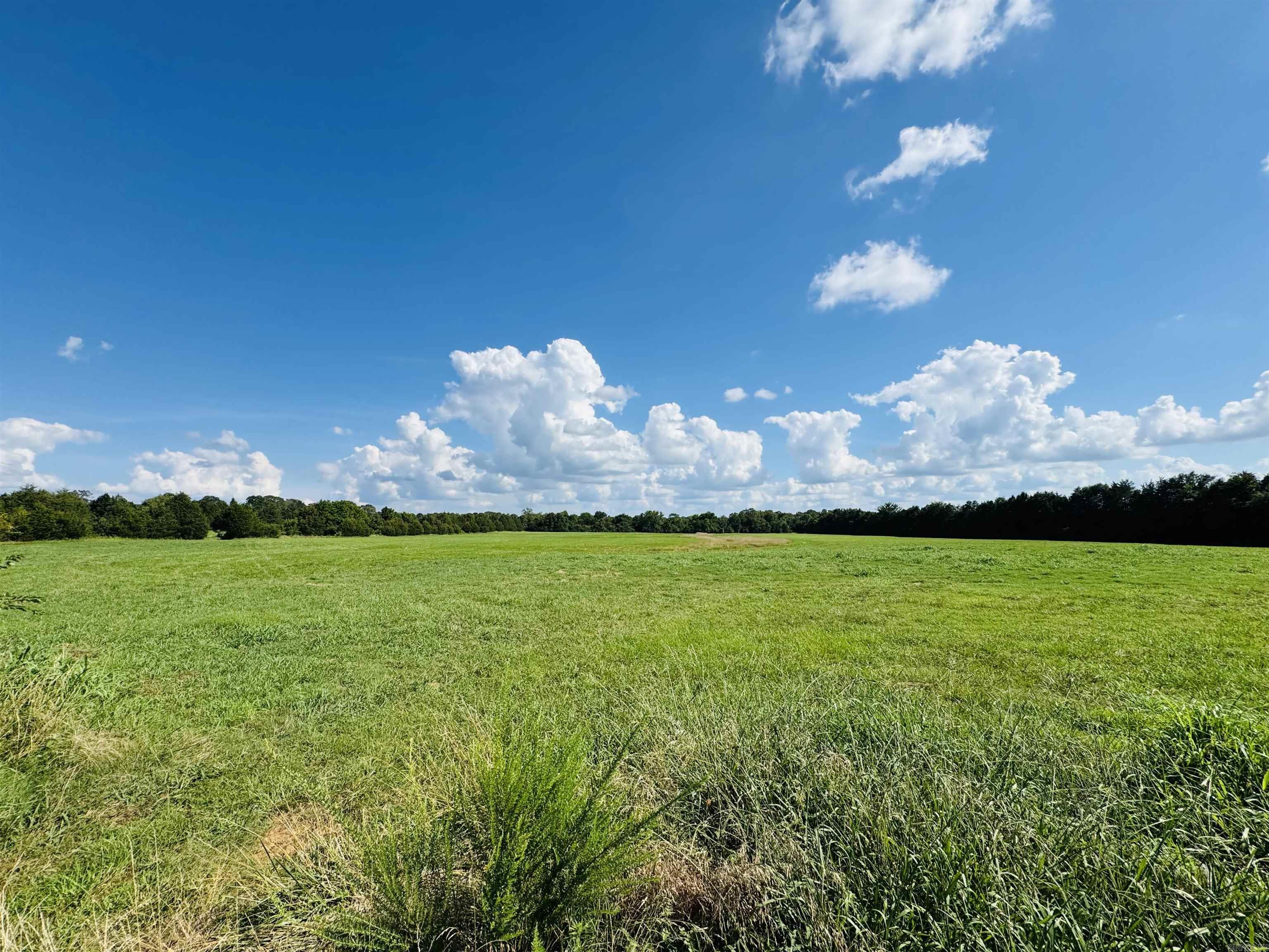 116 Wadley Road Romance, AR 72136