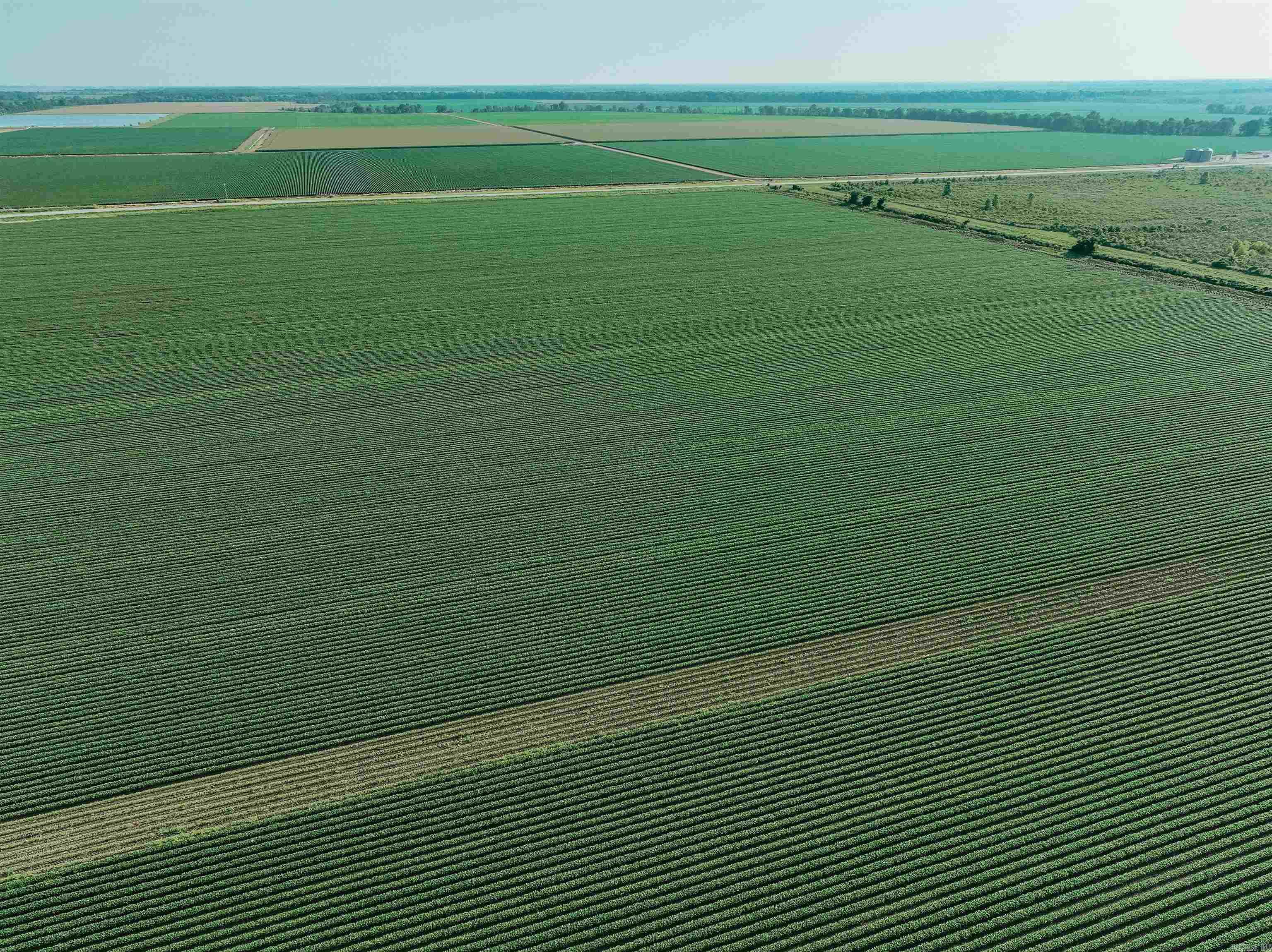 0000 W 8  Eudora, AR