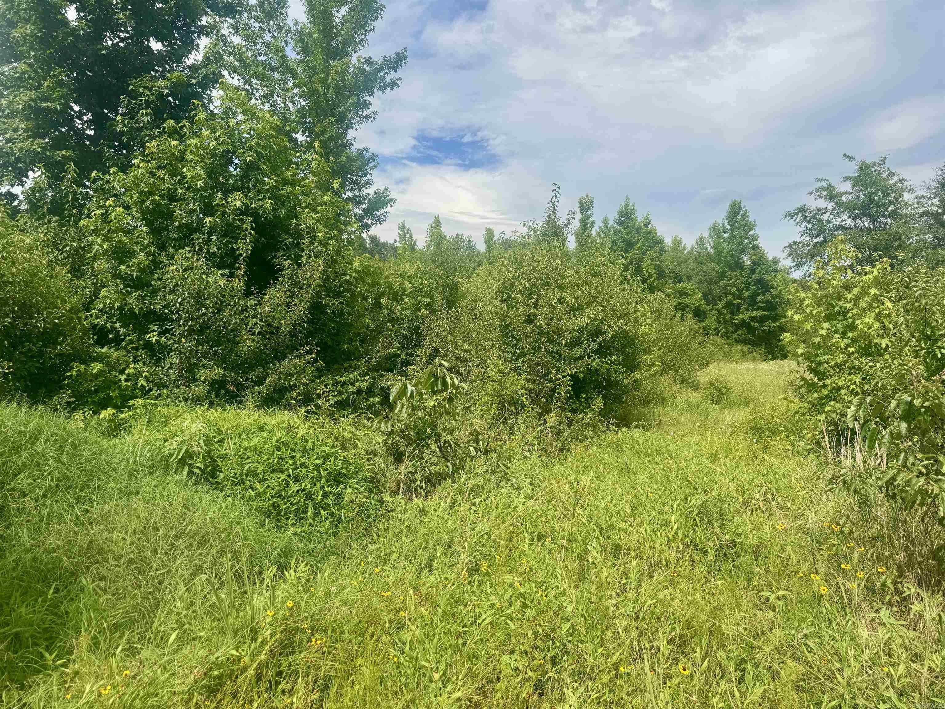 238 Lloyd Henderson  Beebe, AR