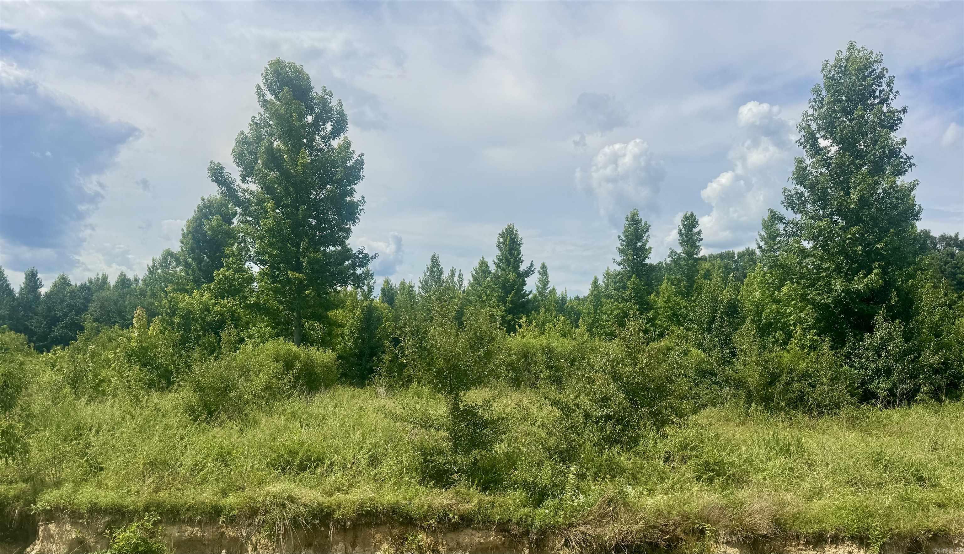 238 Lloyd Henderson  Beebe, AR