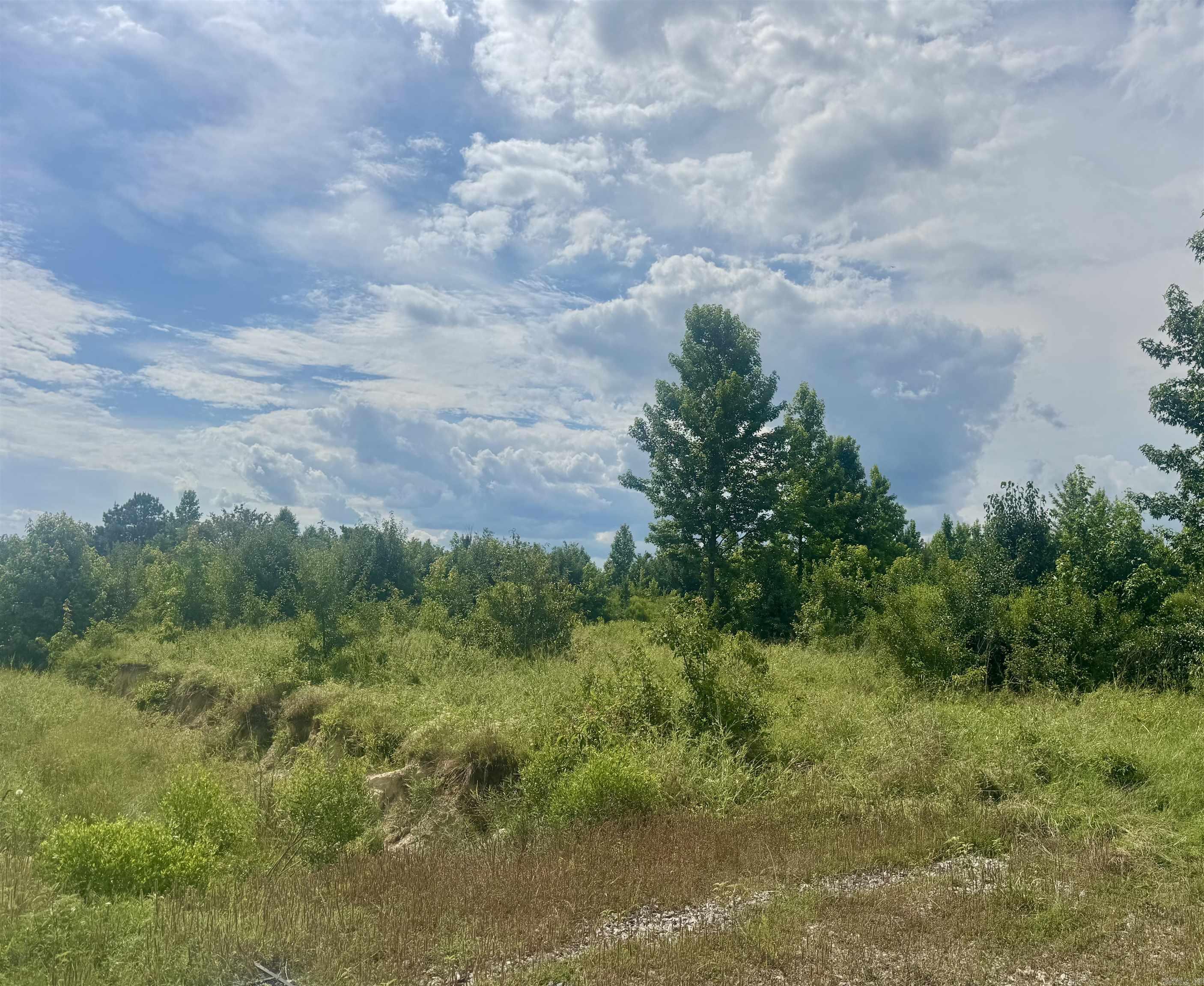 238 Lloyd Henderson  Beebe, AR