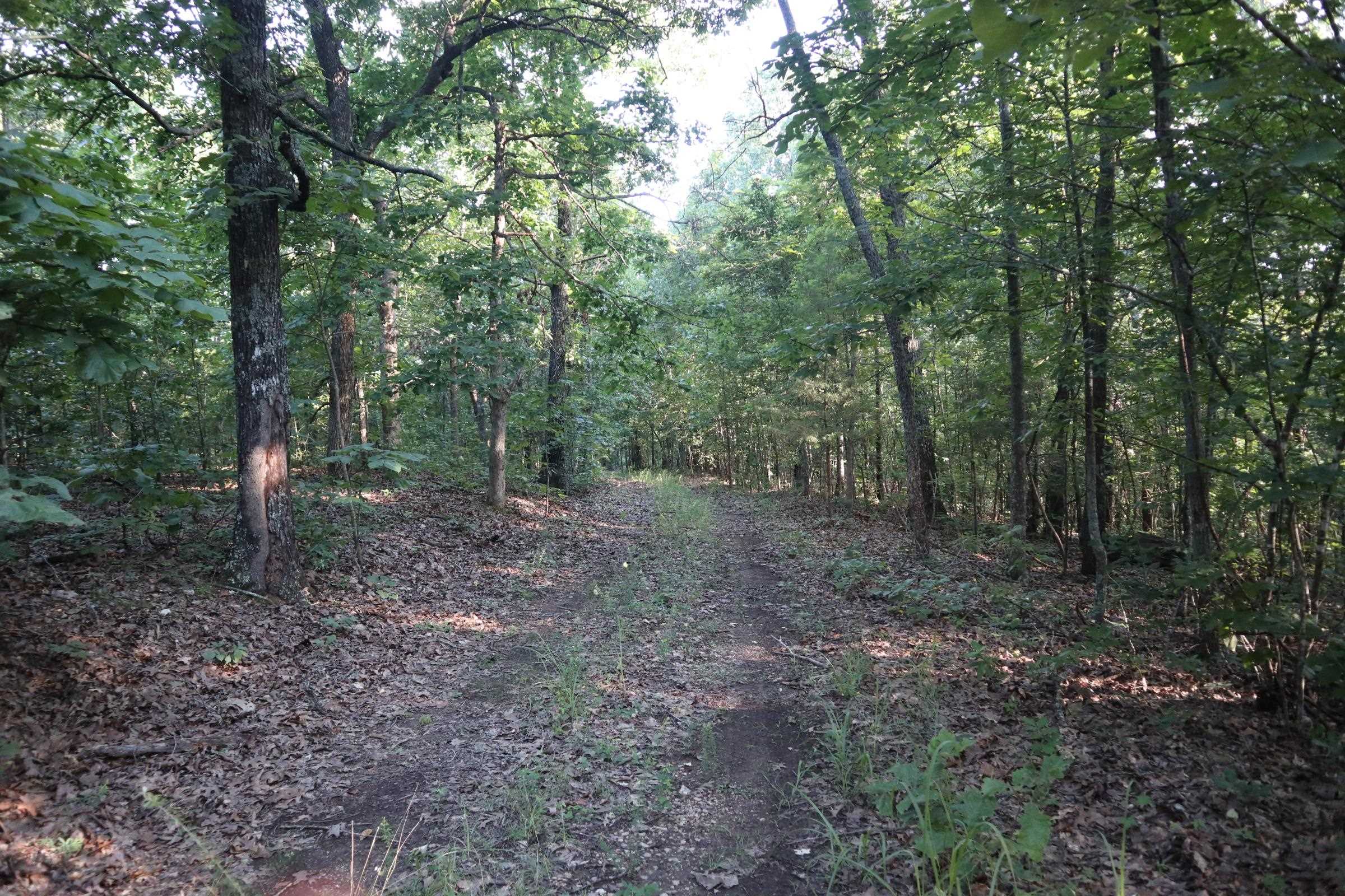 TBD Wynona Rd  Ash Flat, AR
