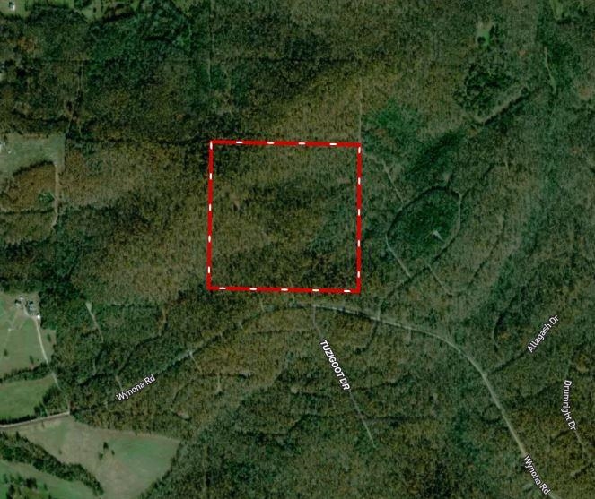 TBD Wynona Rd  Ash Flat, AR