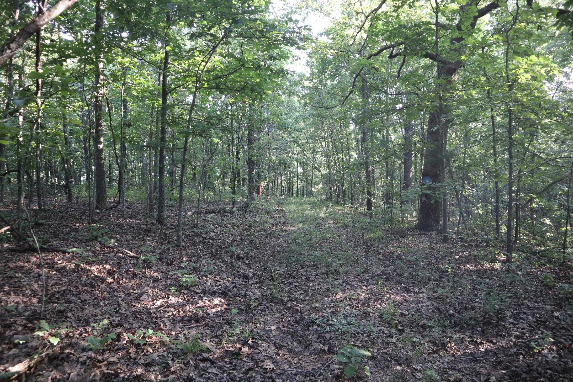 TBD Wynona Rd  Ash Flat, AR