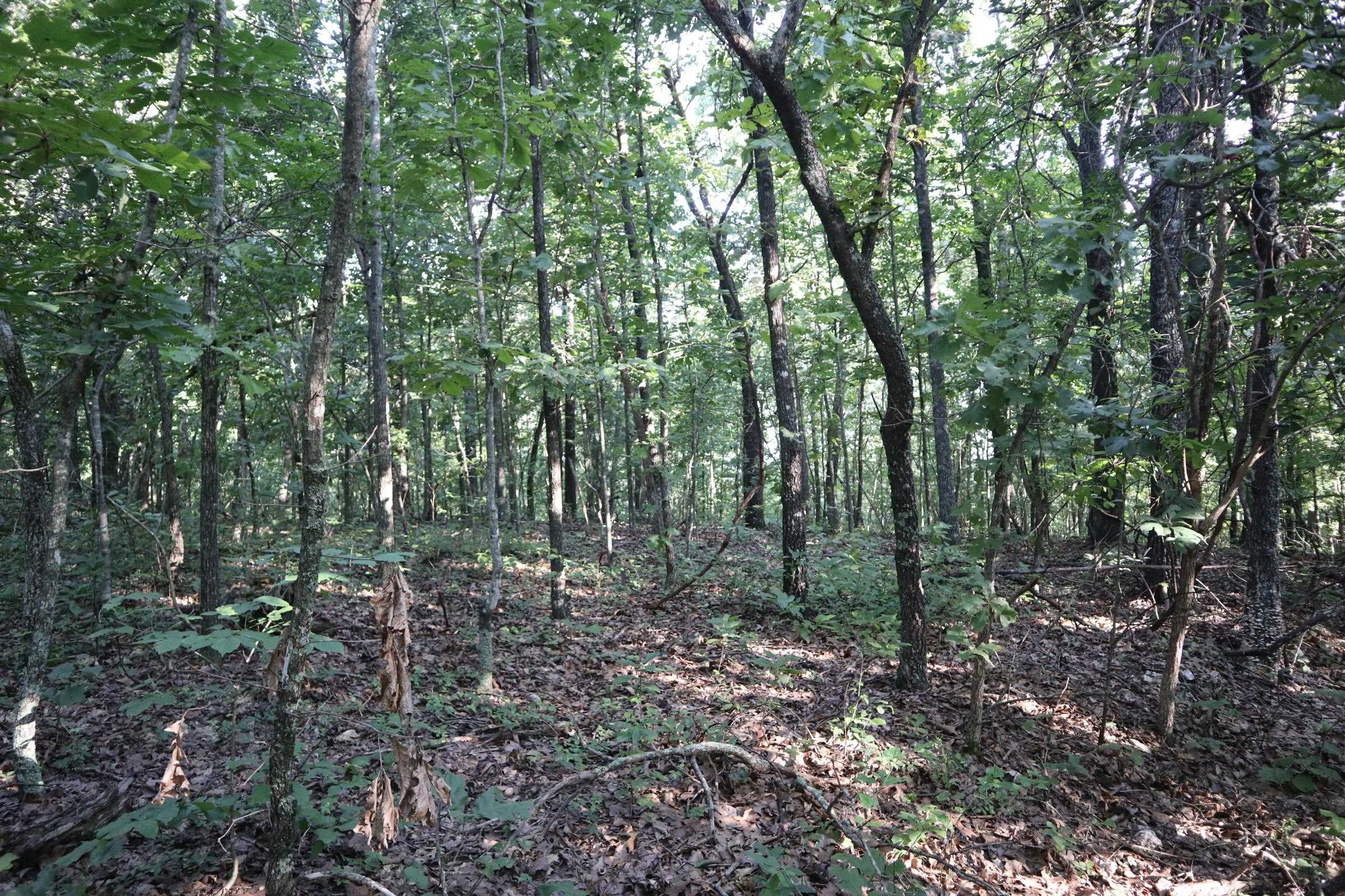 TBD Wynona Rd  Ash Flat, AR