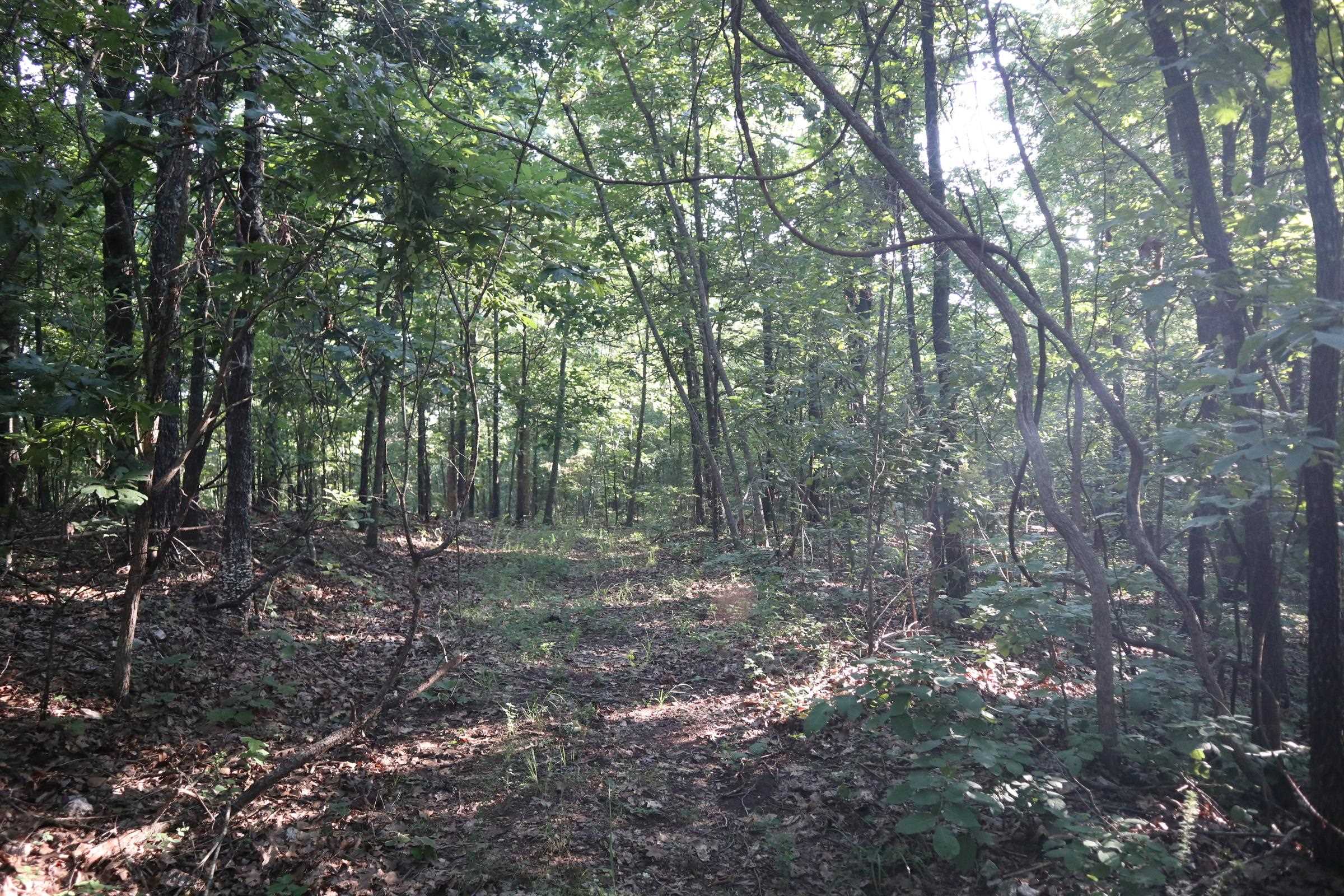 TBD Wynona Rd  Ash Flat, AR