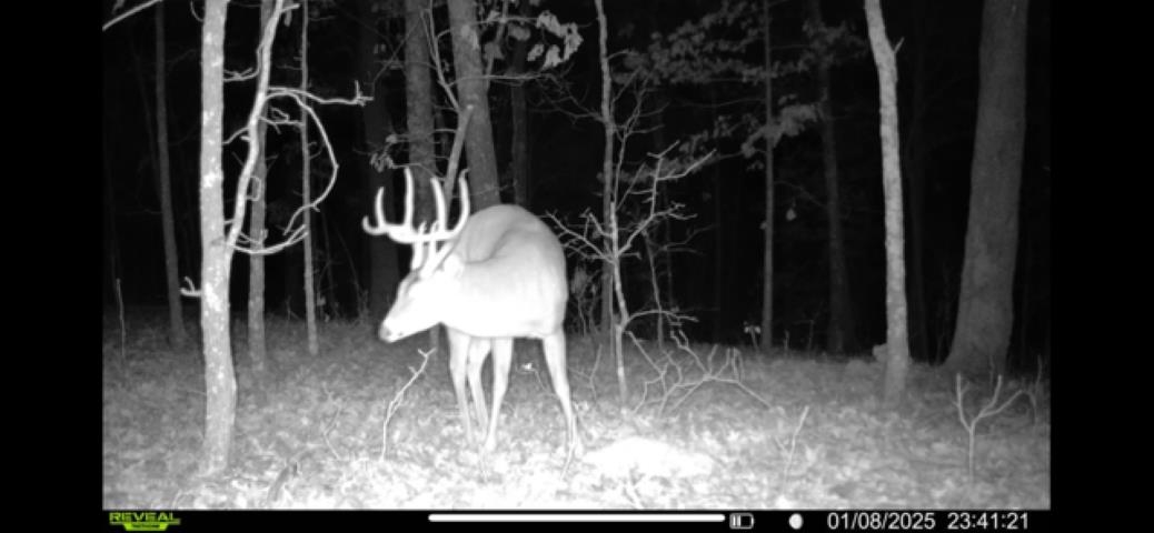 TBD Wynona Rd  Ash Flat, AR