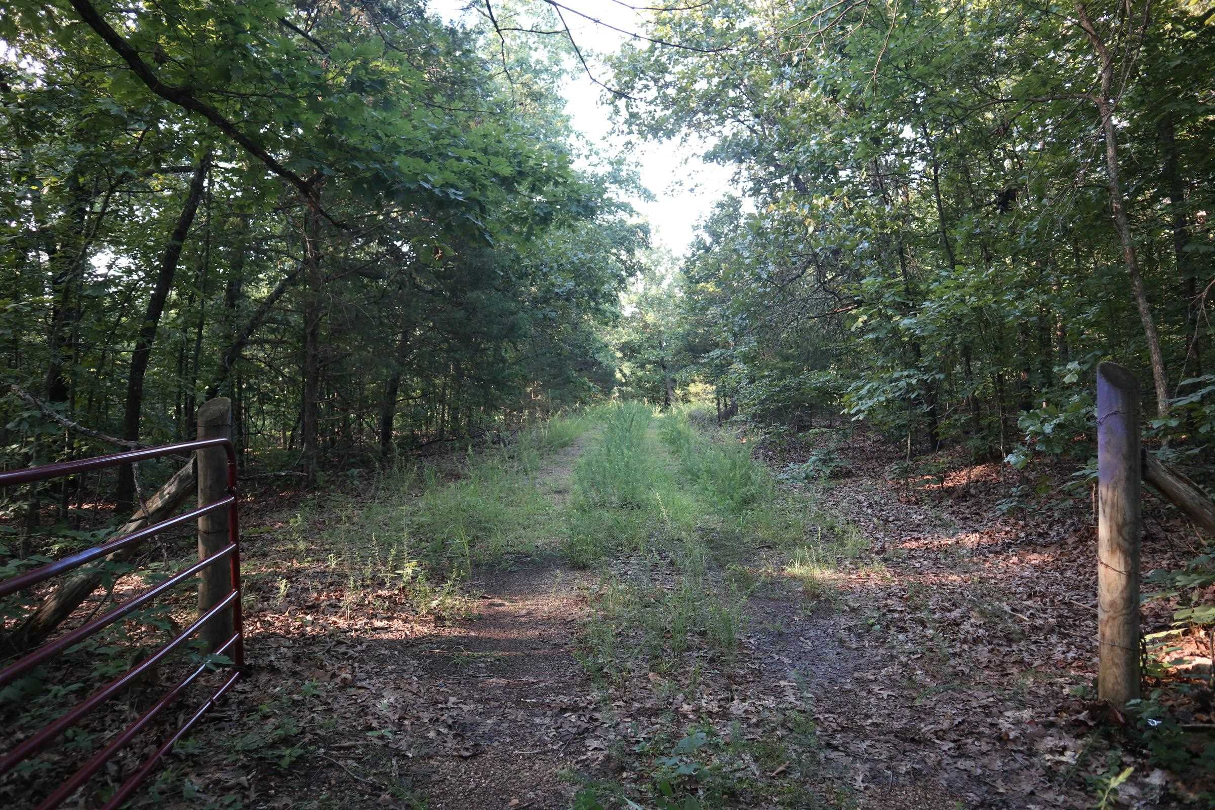 TBD Wynona Rd  Ash Flat, AR
