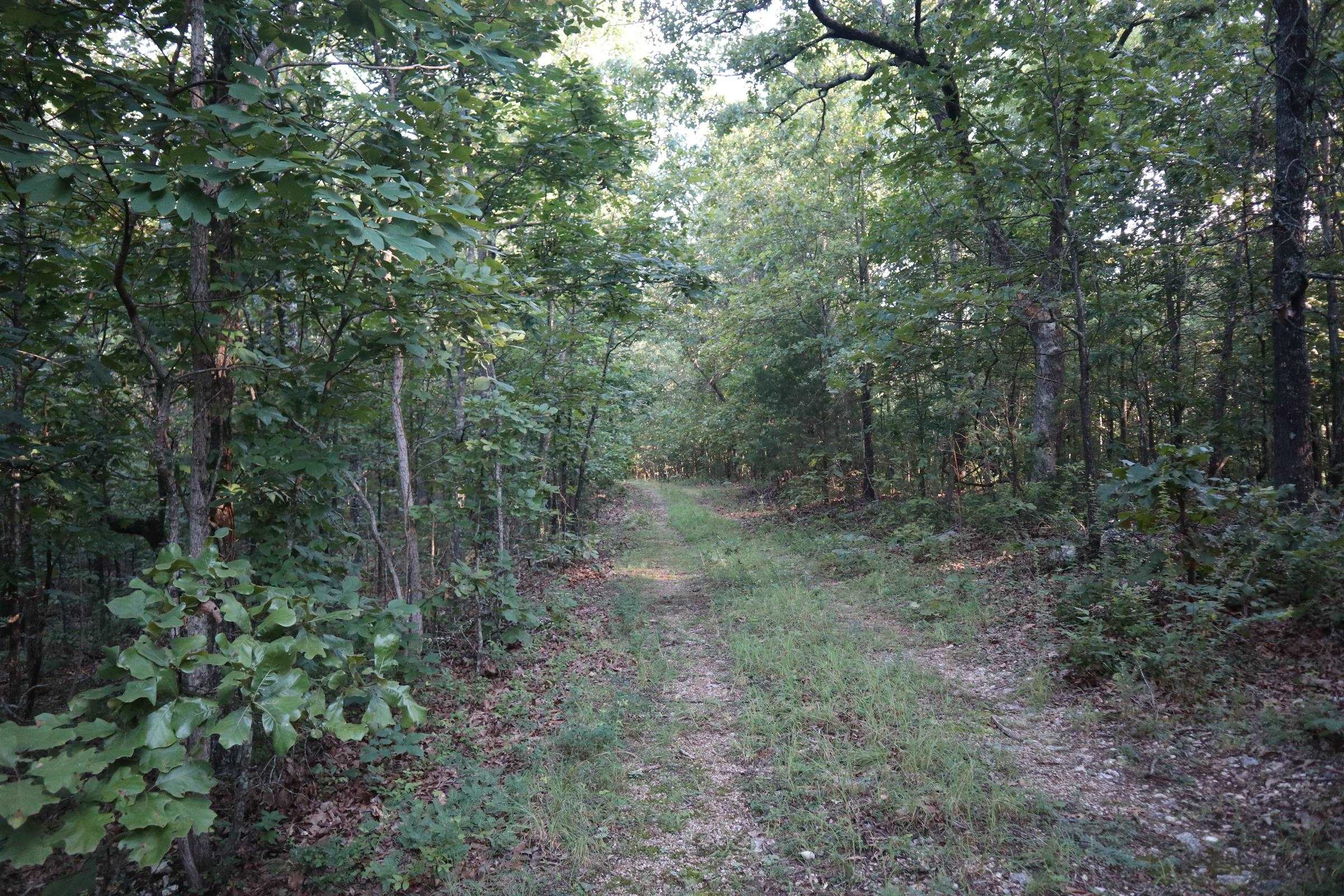 TBD Wynona Rd  Ash Flat, AR