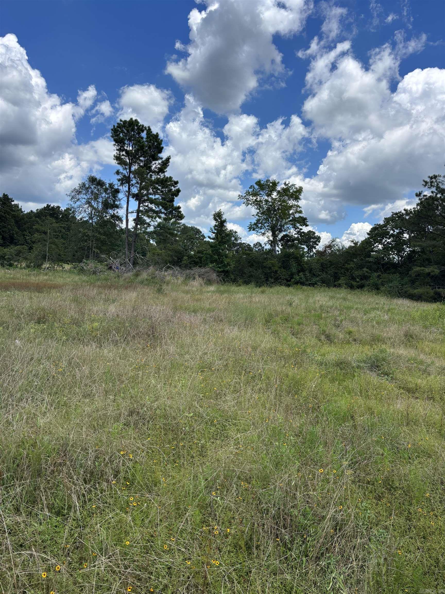 1442 Schaal  Mineral Sprs., AR