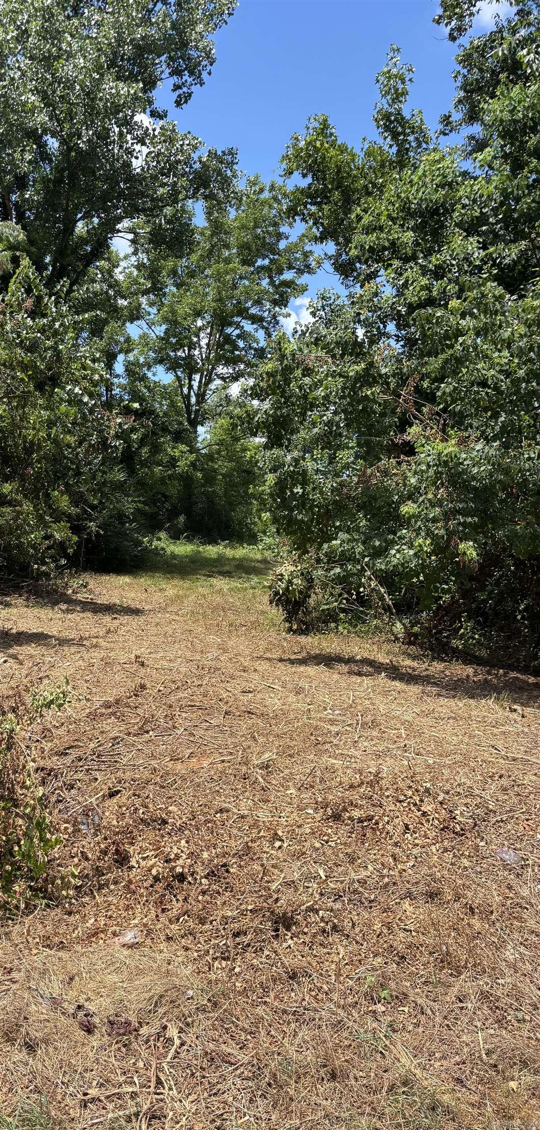 1442 Schaal  Mineral Sprs., AR