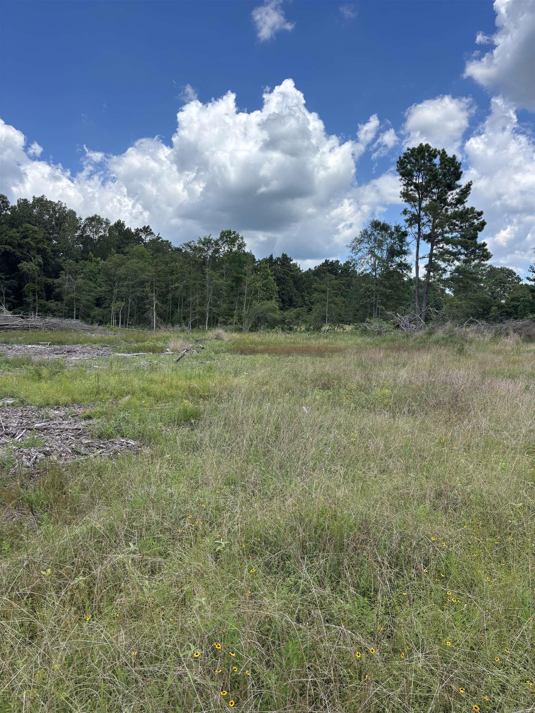 1442 Schaal  Mineral Sprs., AR