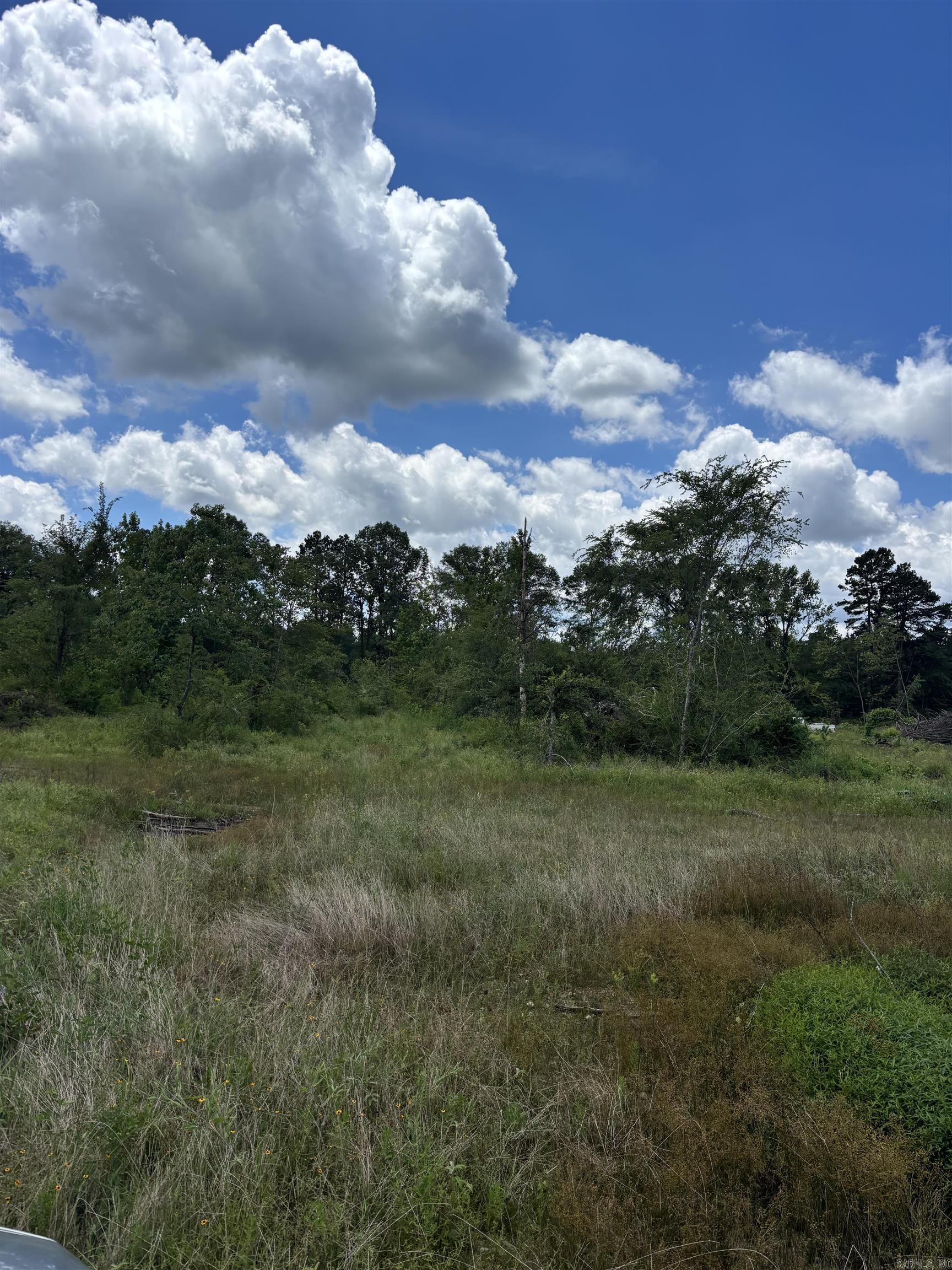 1442 Schaal  Mineral Sprs., AR