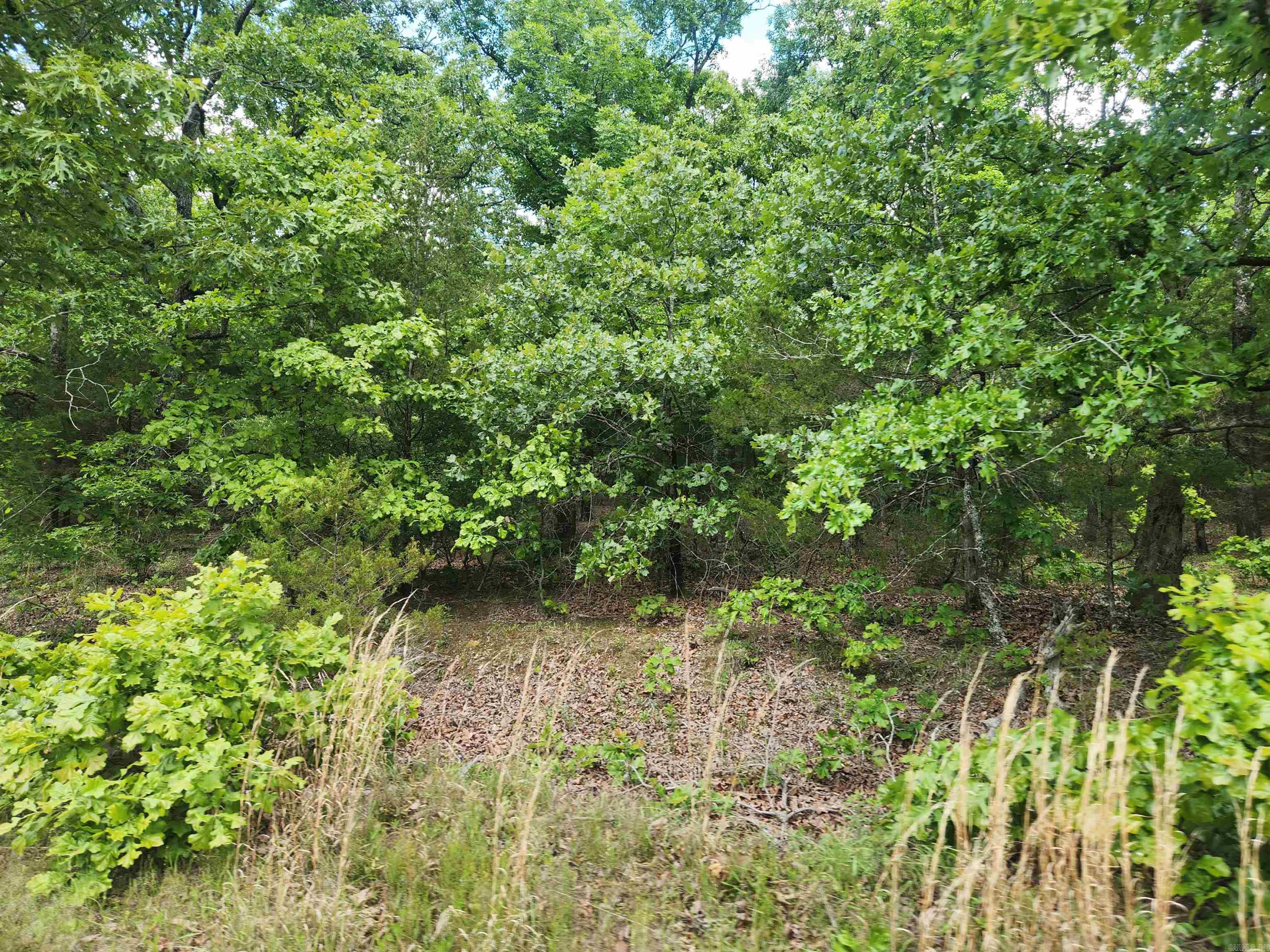 525 Naylor Road  Vilonia, AR