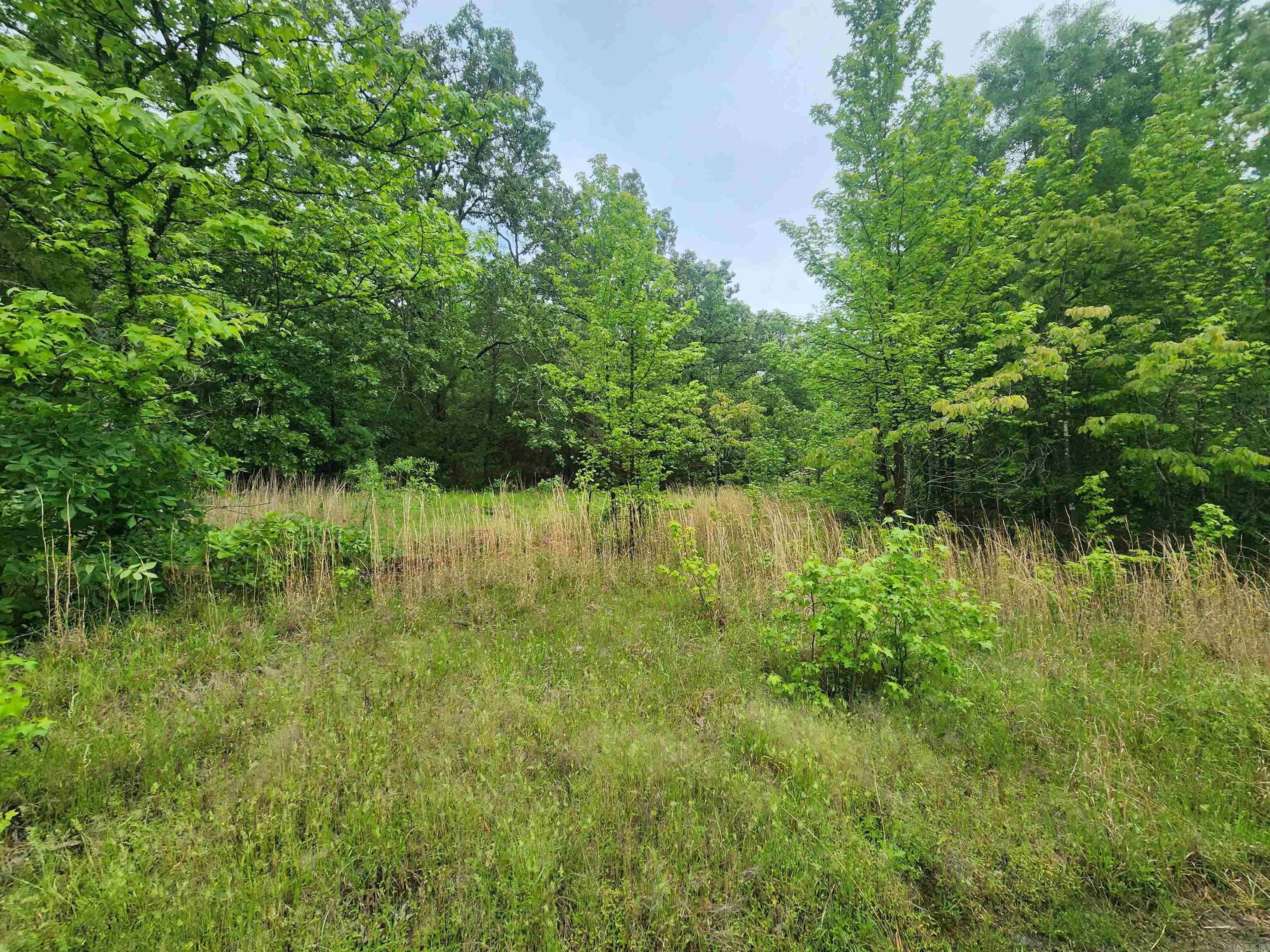 525 Naylor Road  Vilonia, AR