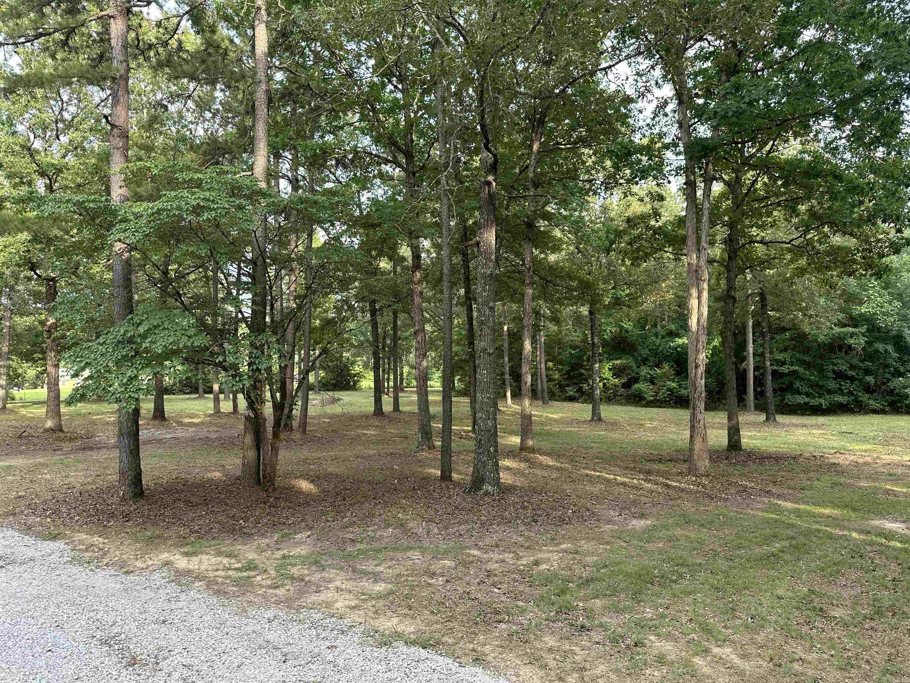 255 Carmichael Rd. Searcy, AR 72143-0000