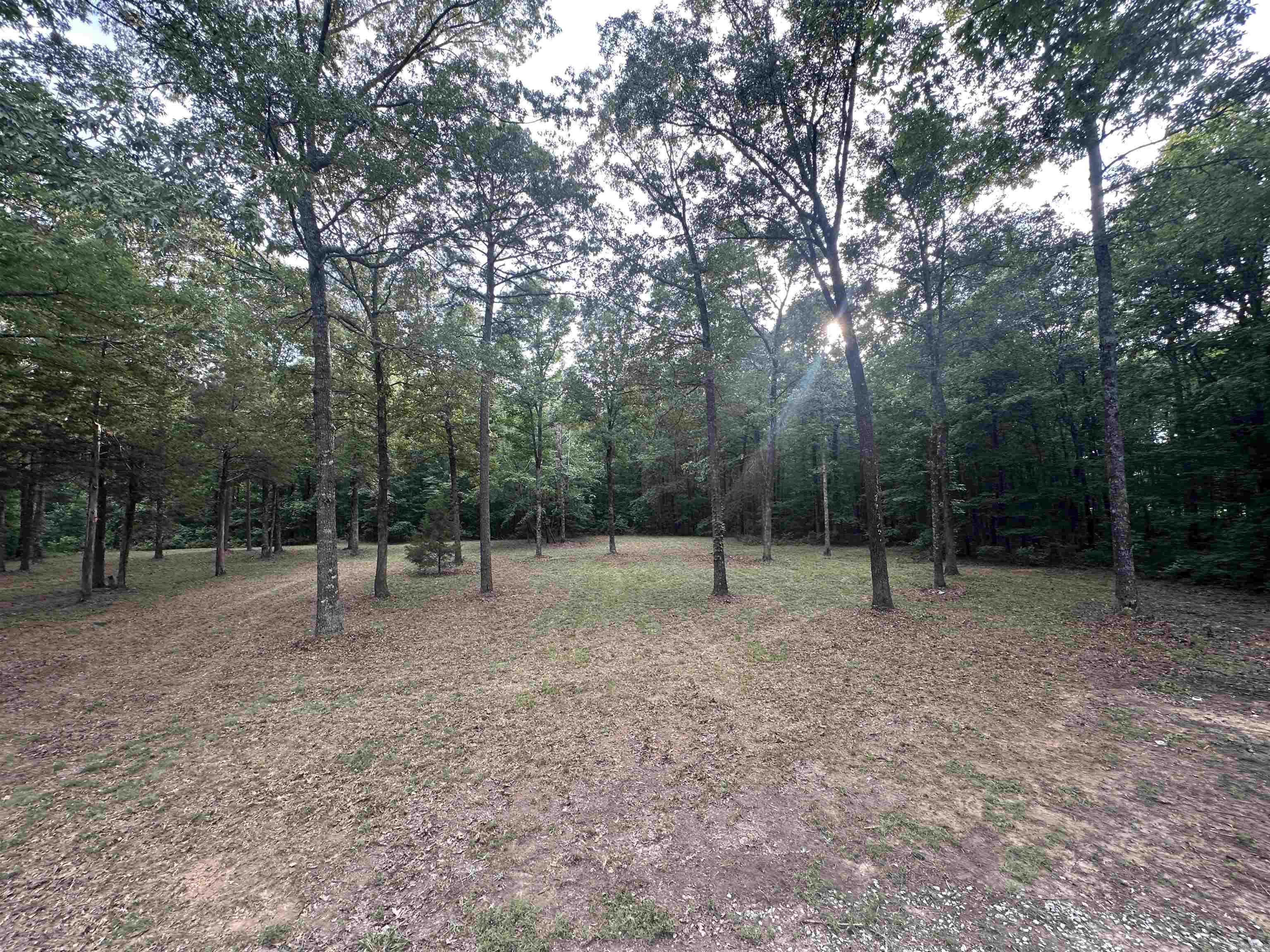 255 Carmichael Rd. Searcy, AR 72143-0000
