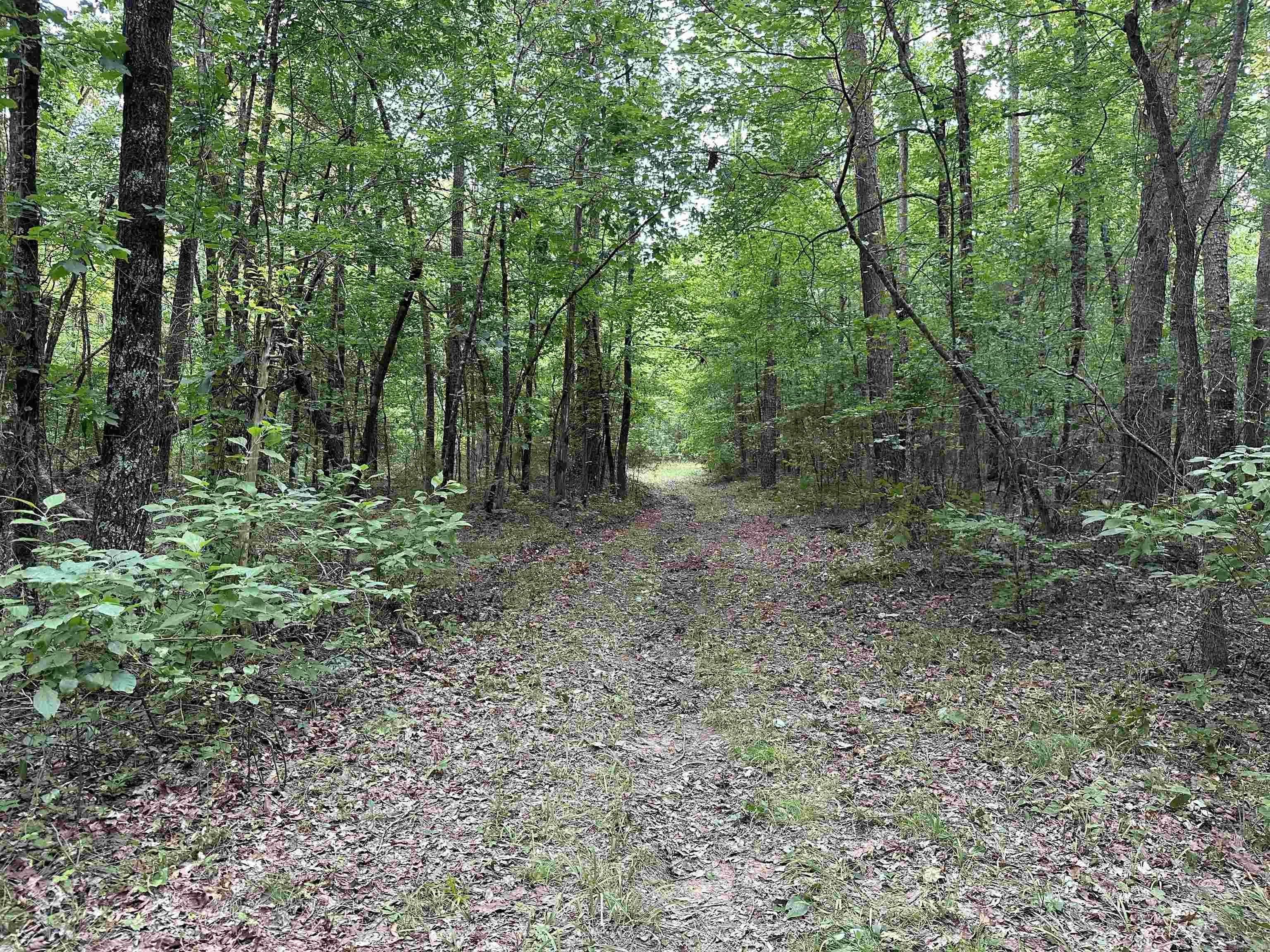 255 Carmichael Rd. Searcy, AR 72143-0000
