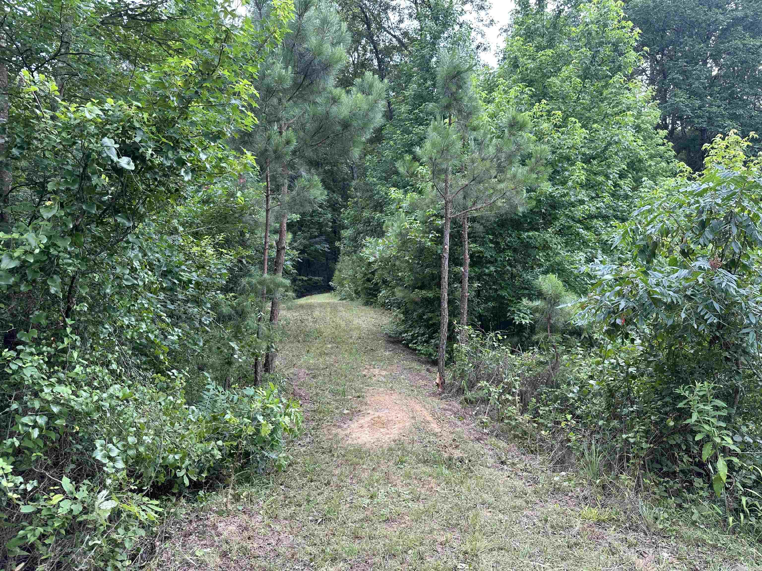 255 Carmichael Rd. Searcy, AR 72143-0000