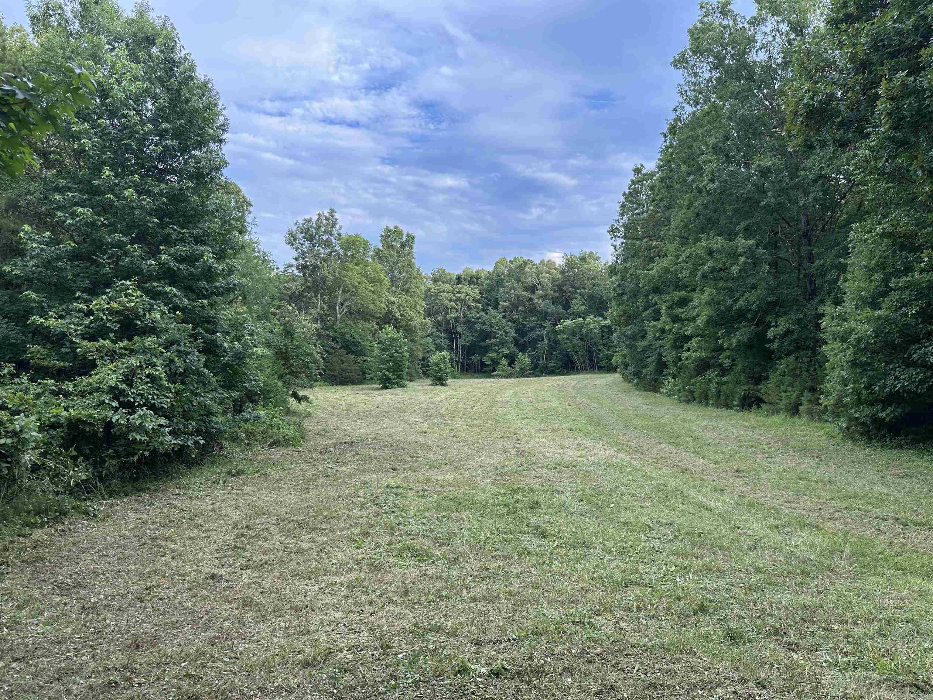 255 Carmichael Rd. Searcy, AR 72143-0000