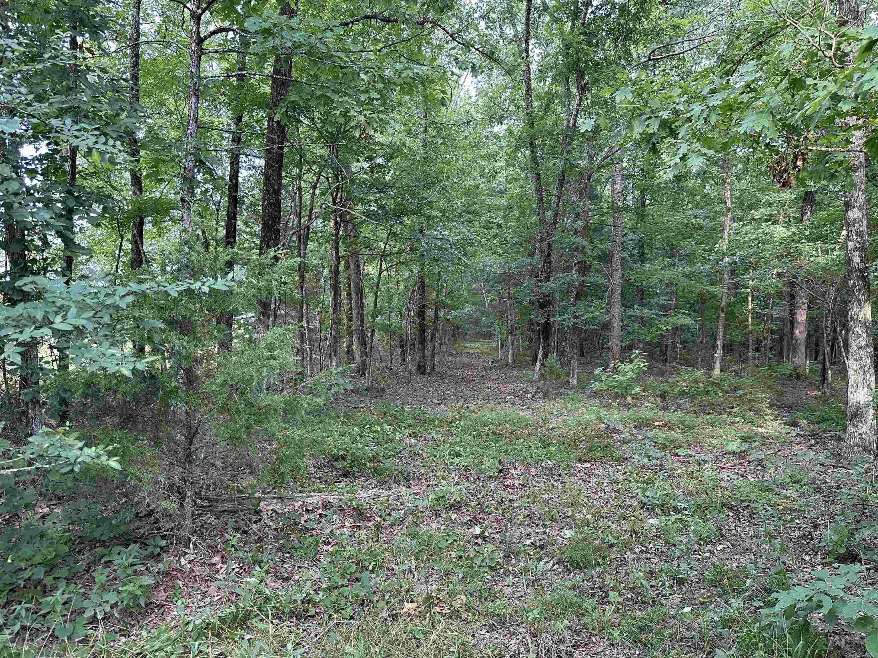 255 Carmichael Rd. Searcy, AR 72143-0000