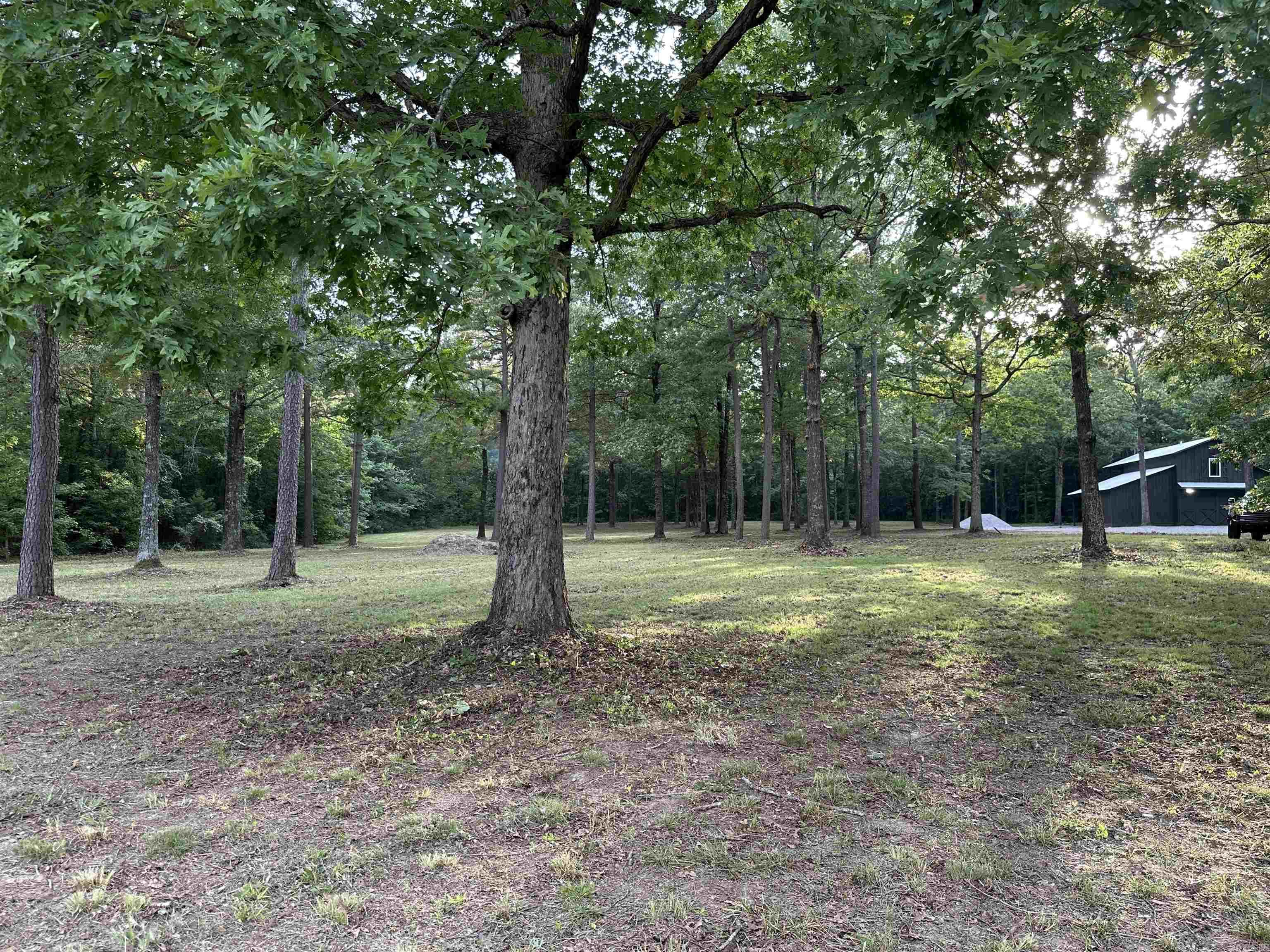 255 Carmichael Rd. Searcy, AR 72143-0000