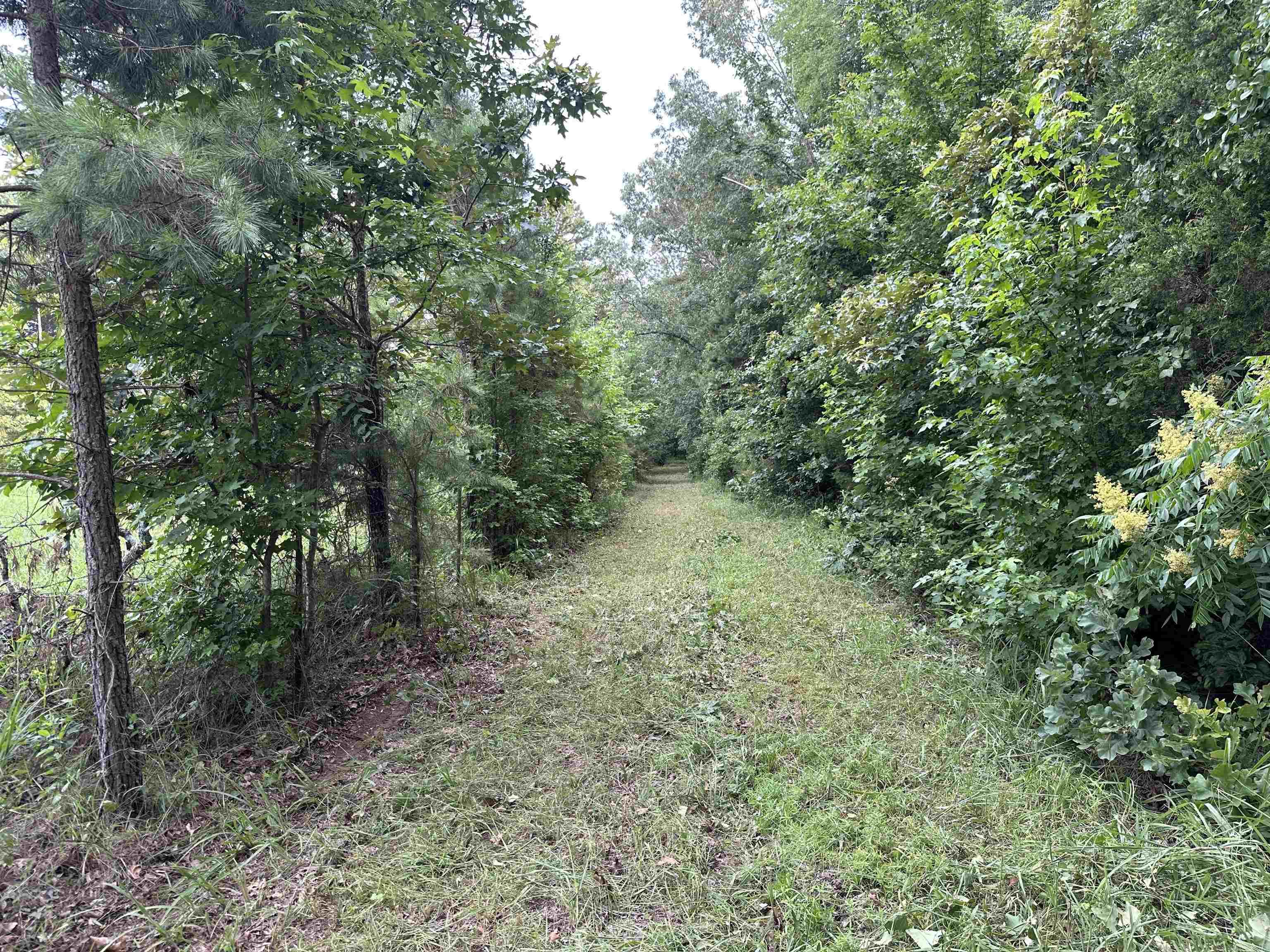 255 Carmichael Rd. Searcy, AR 72143-0000