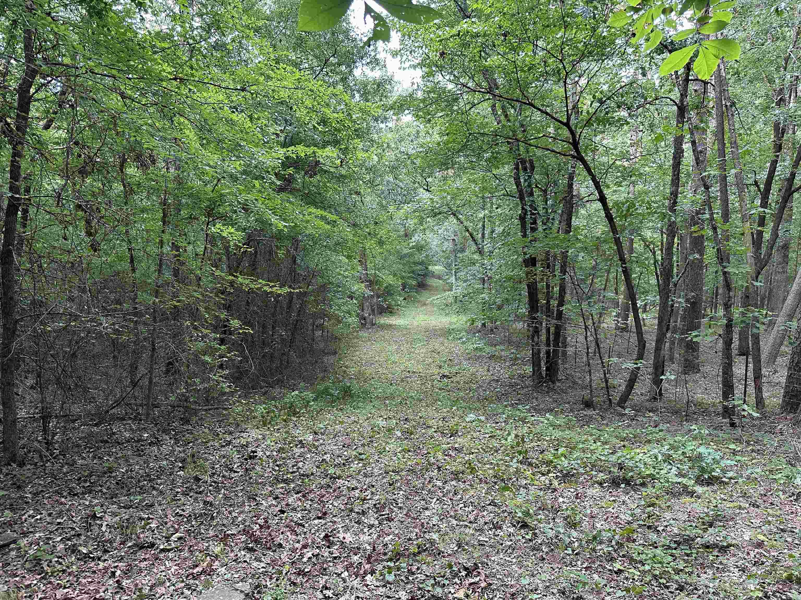 255 Carmichael Rd. Searcy, AR 72143-0000